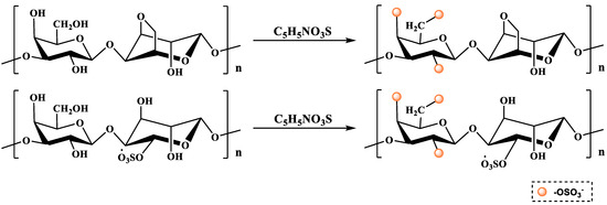Chemical Modification of Polysaccharides: A Review of Synthetic