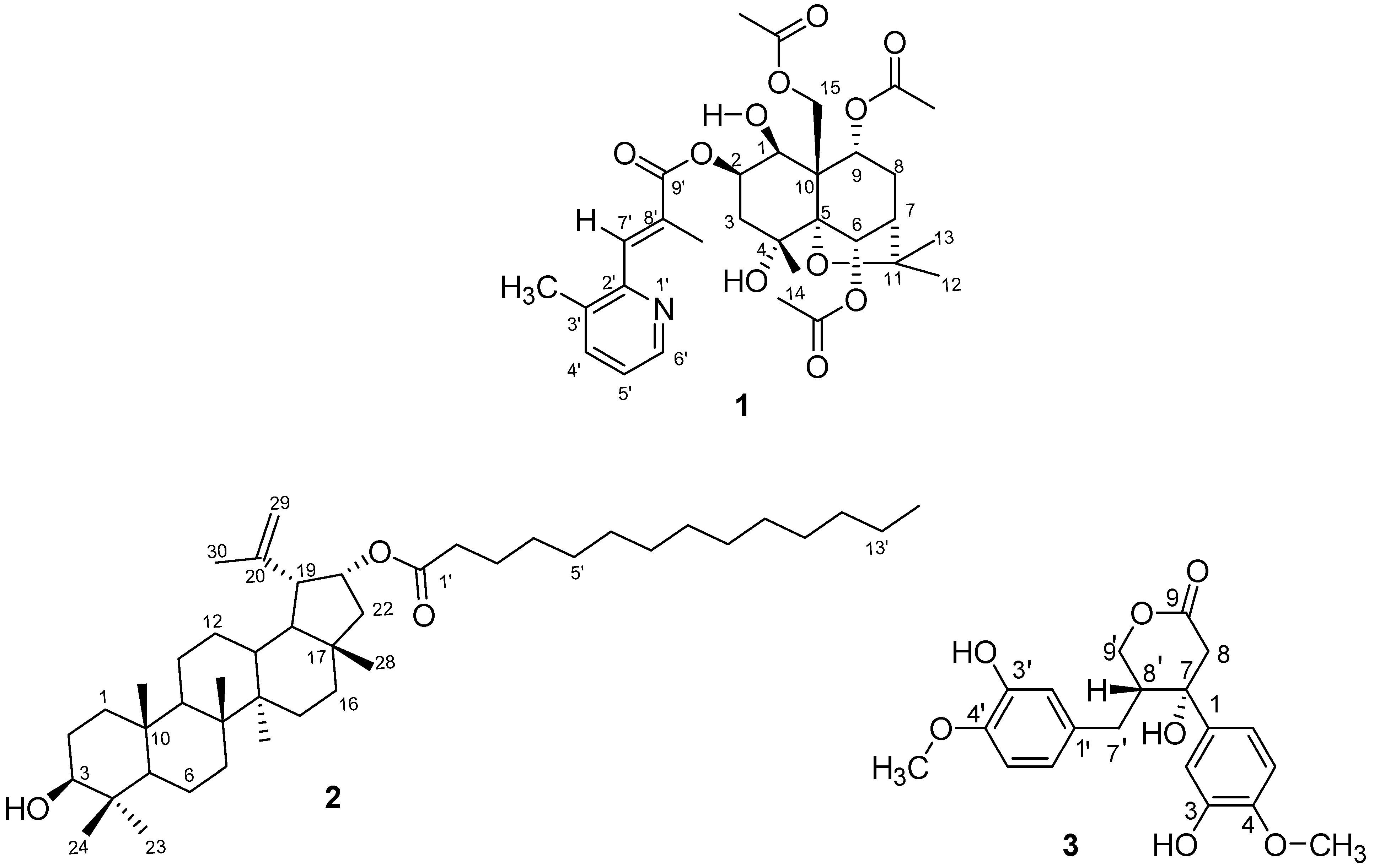 Molecules 28 06077 g001
