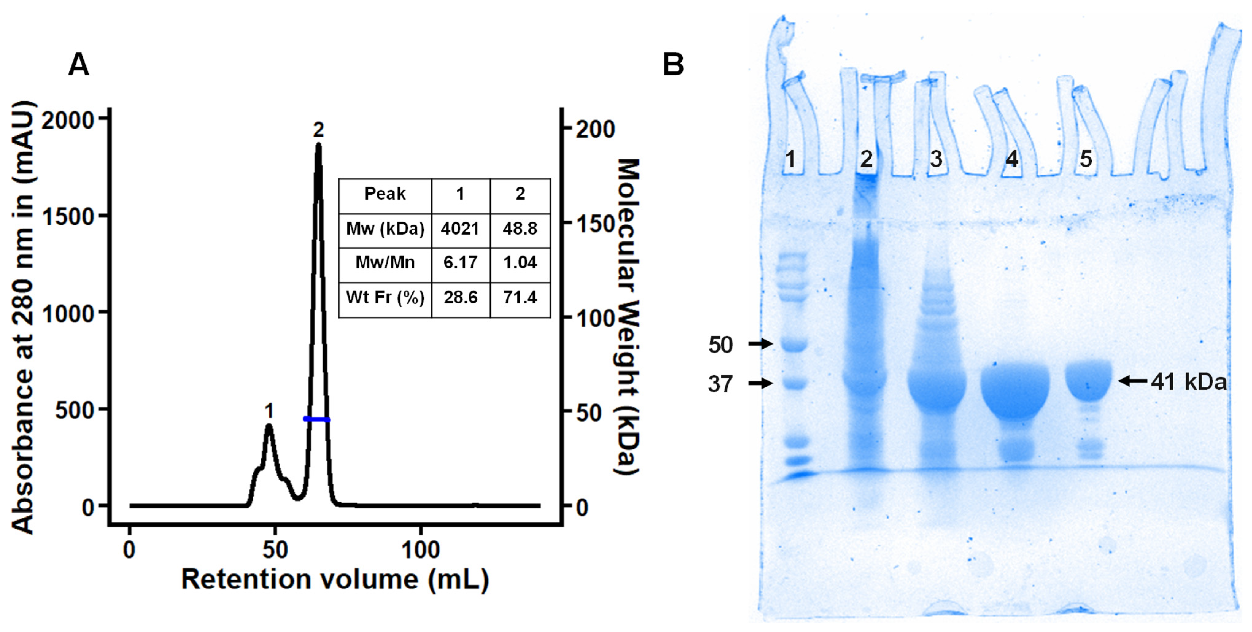 Molecules 28 06080 g001 Molecules 28 06080 g001