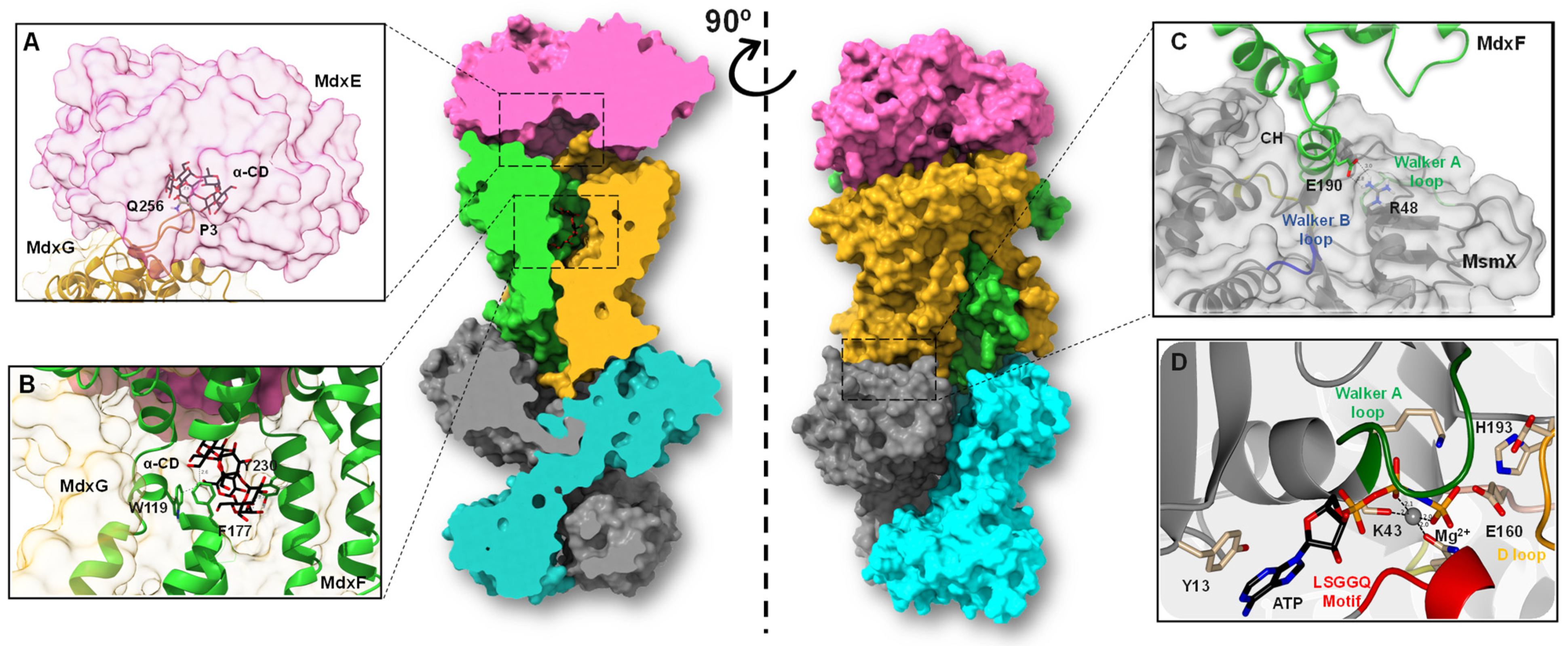 Molecules 28 06080 g007 Molecules 28 06080 g007