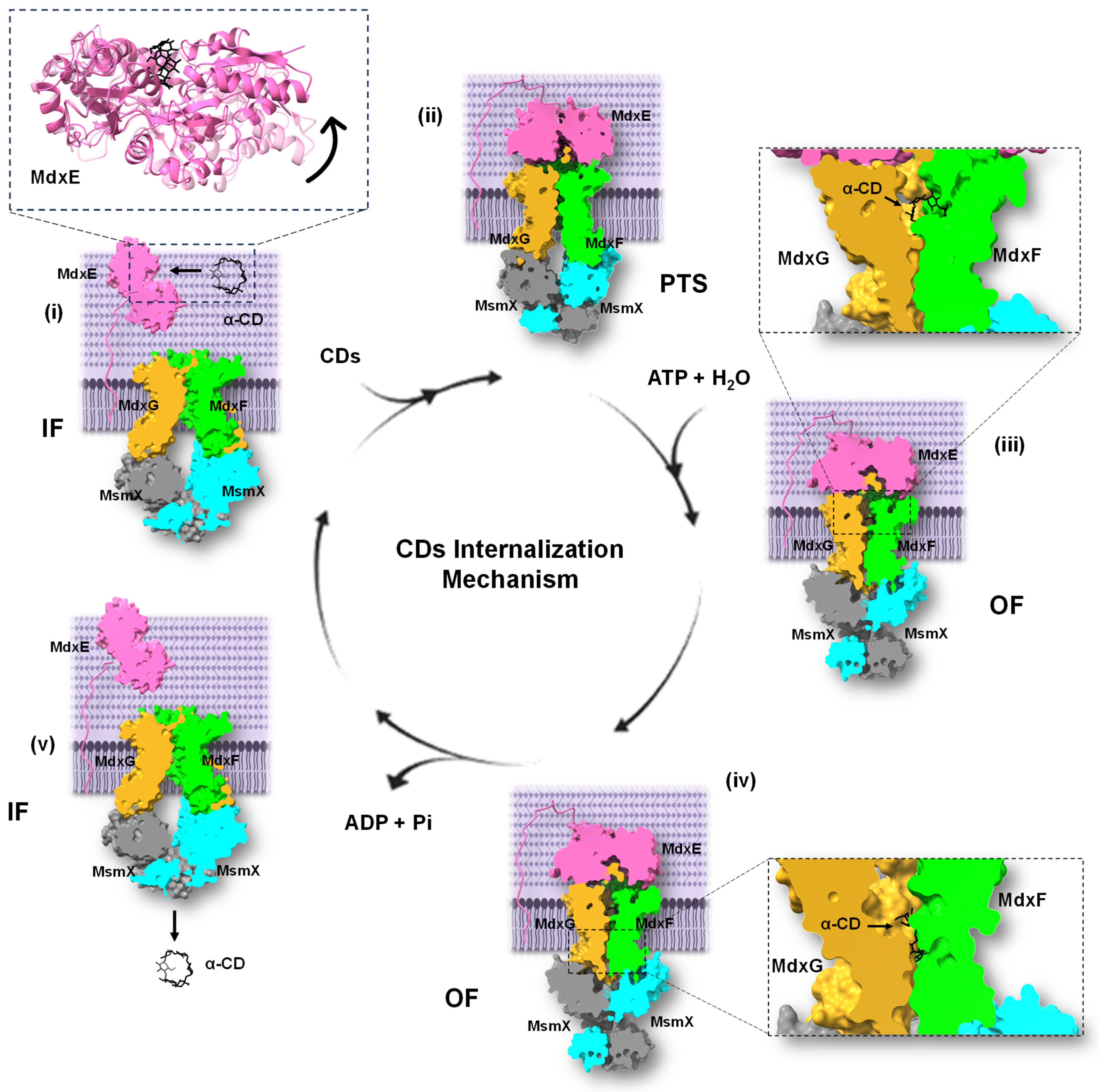 Molecules 28 06080 g008 Molecules 28 06080 g008