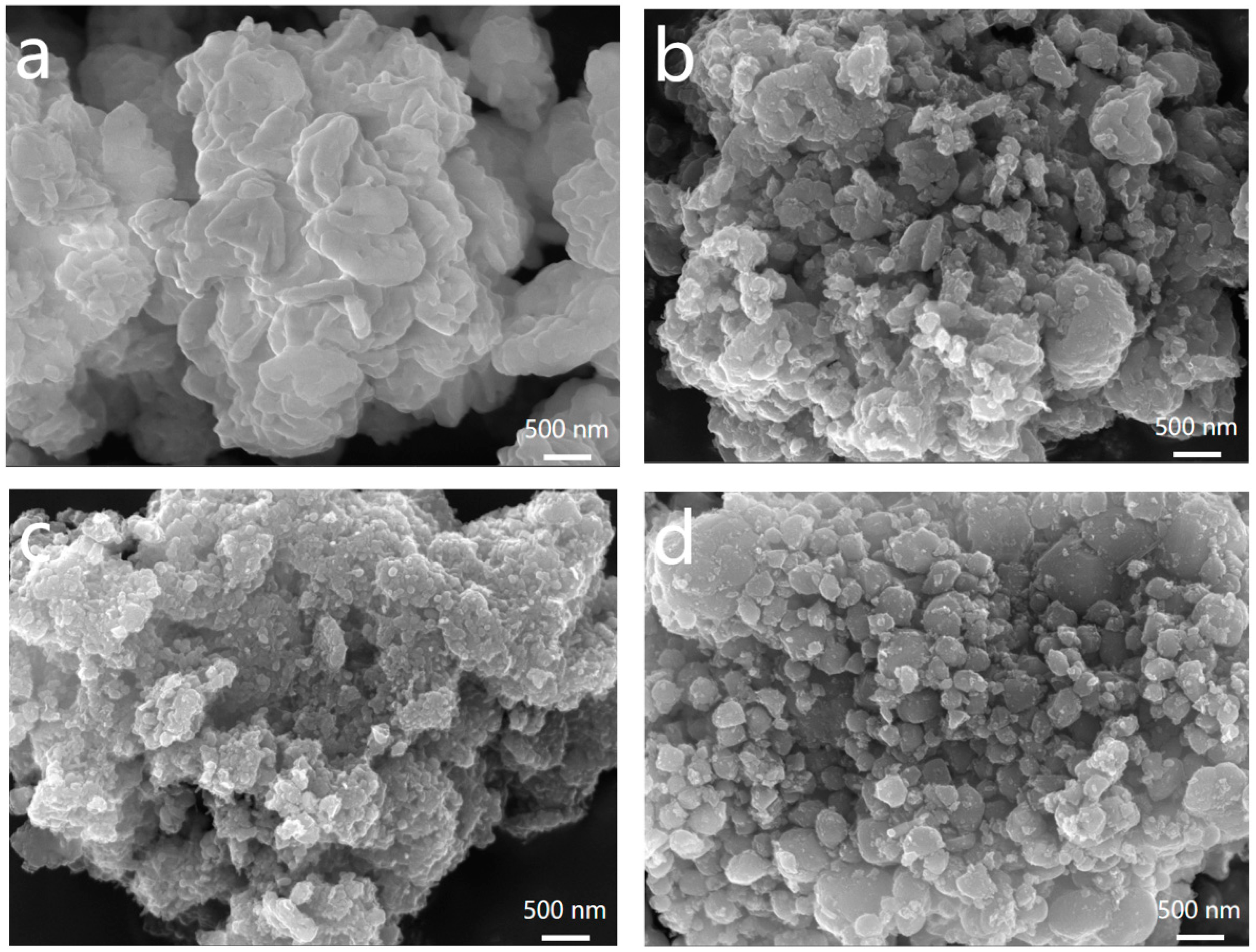 Molecules 28 06083 g002