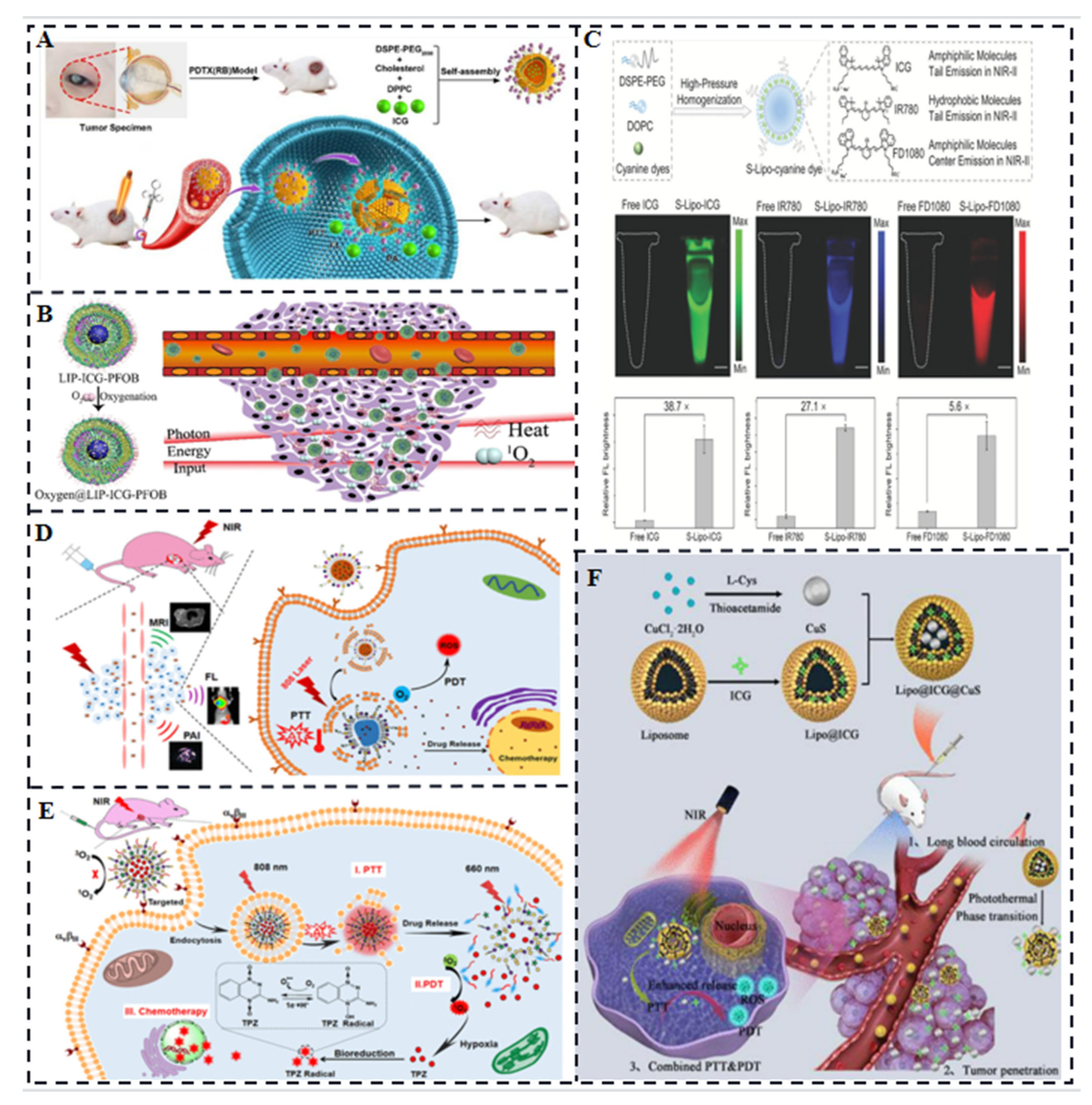Molecules 28 06085 g005