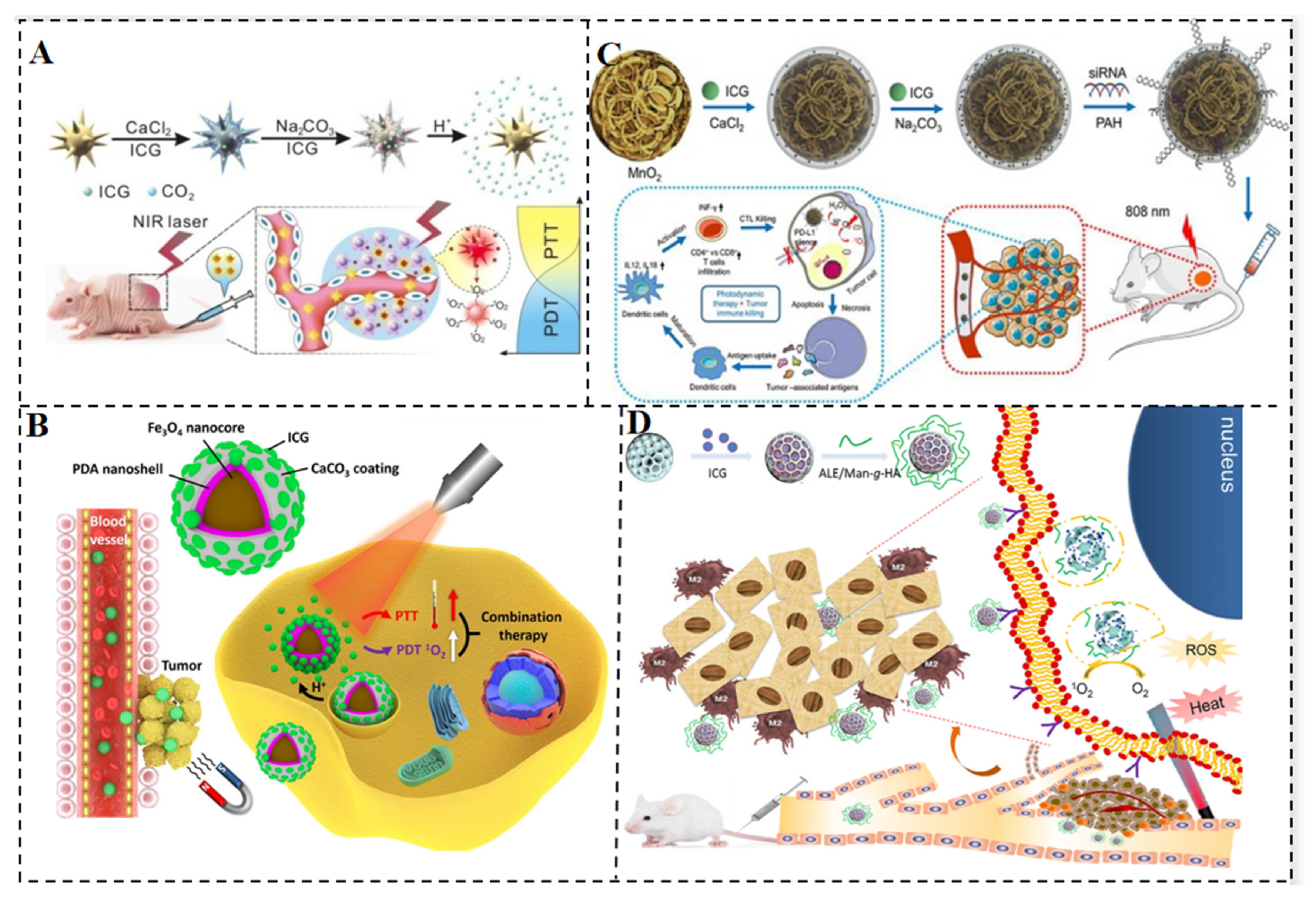 Molecules 28 06085 g008