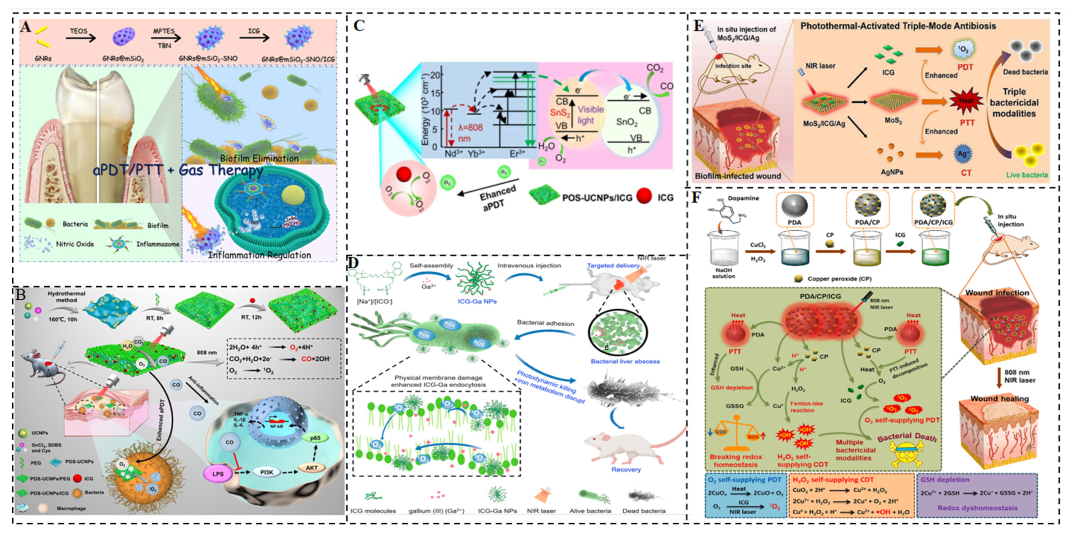 Molecules 28 06085 g010