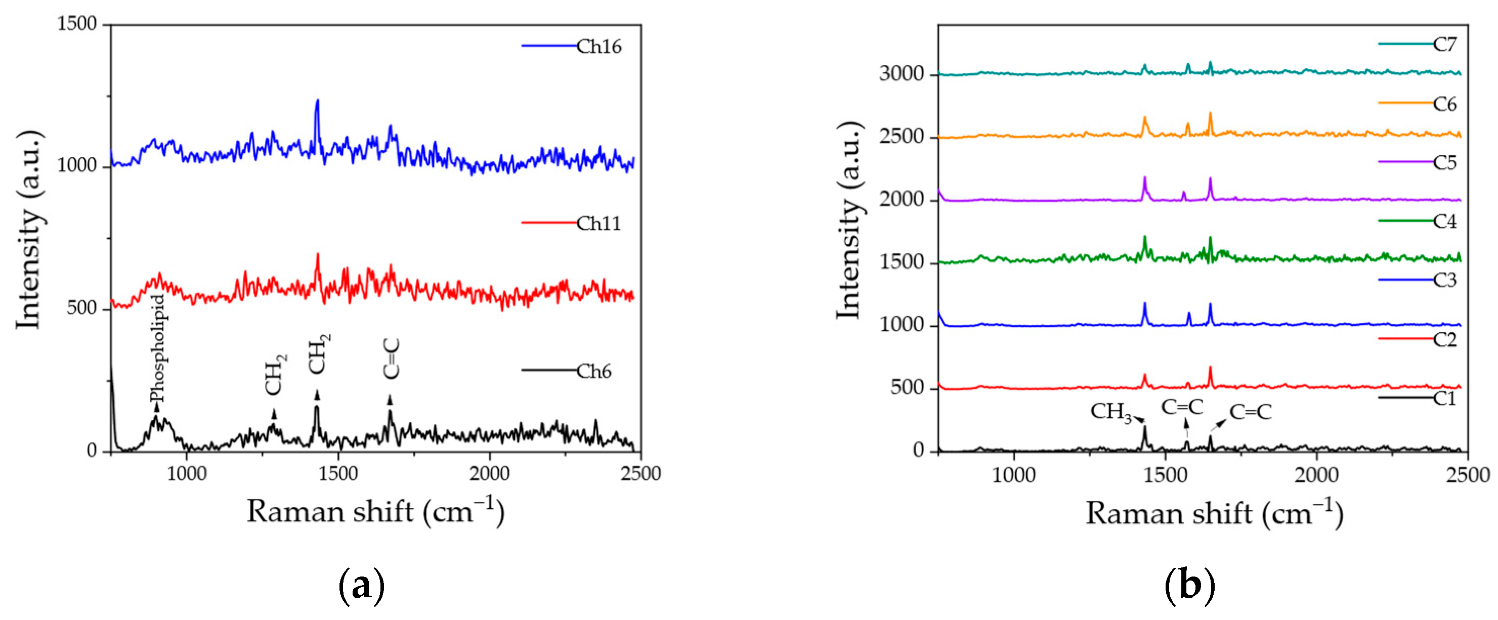 Molecules 28 06087 g003