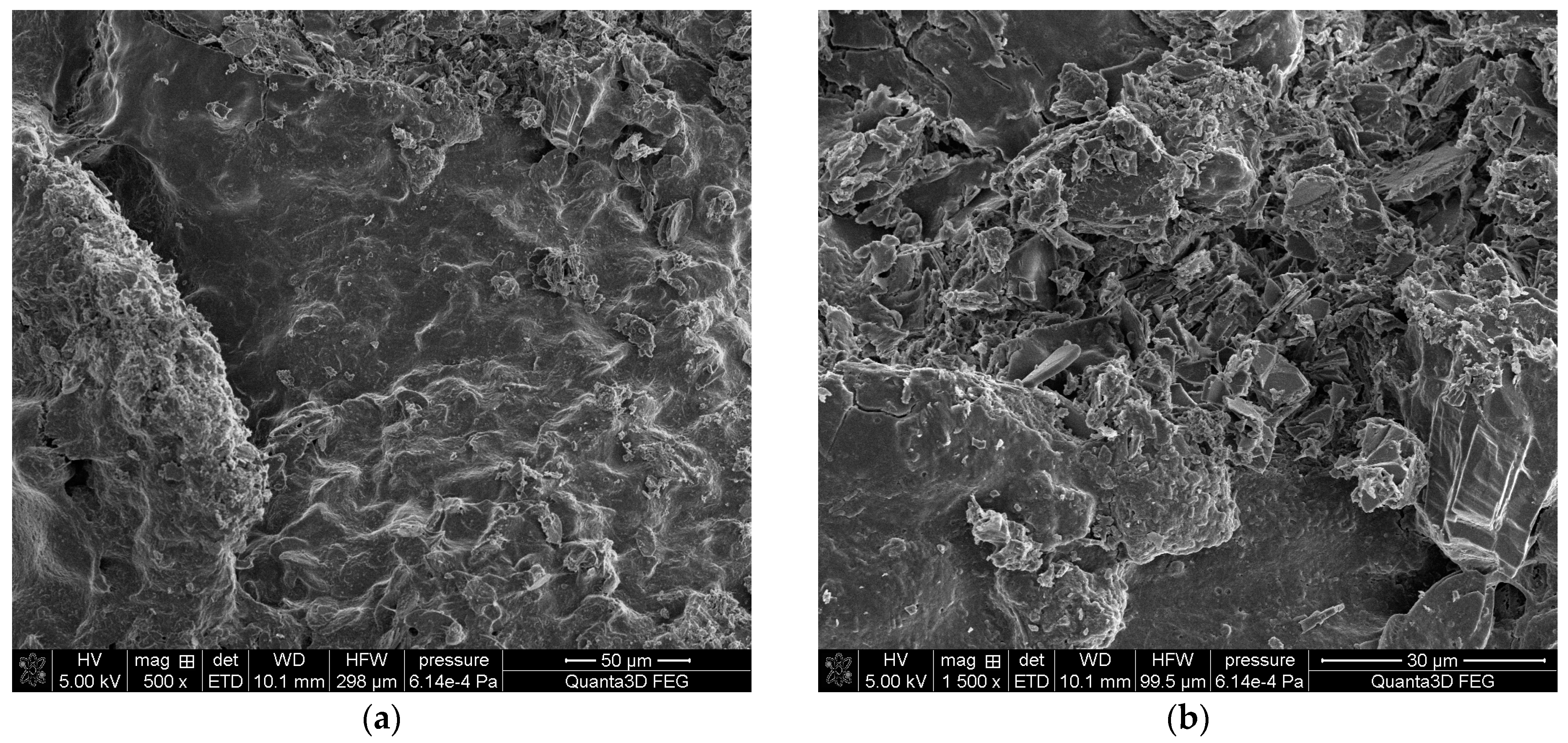 Molecules 28 06089 g006 Molecules 28 06089 g006