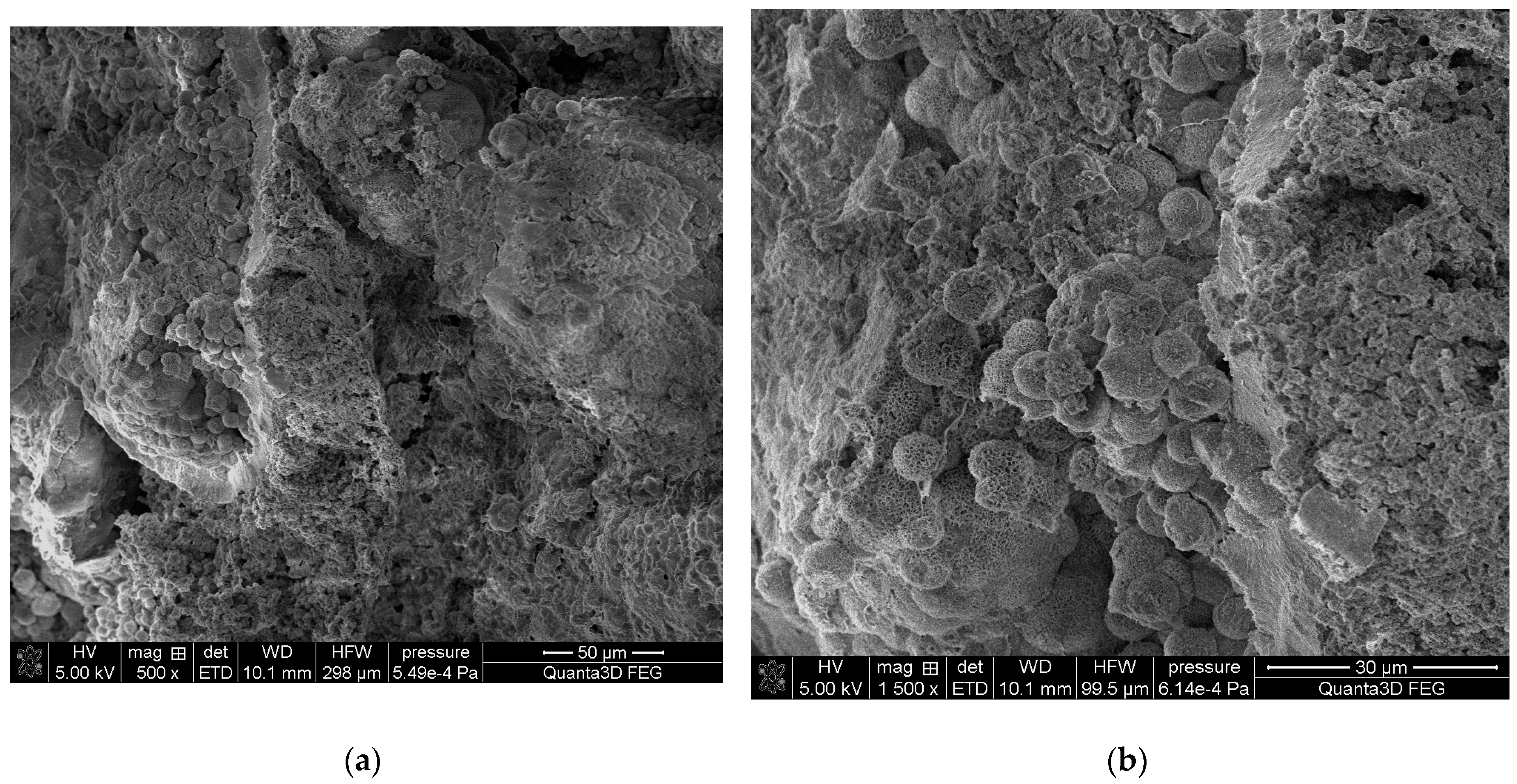 Molecules 28 06089 g008 Molecules 28 06089 g008