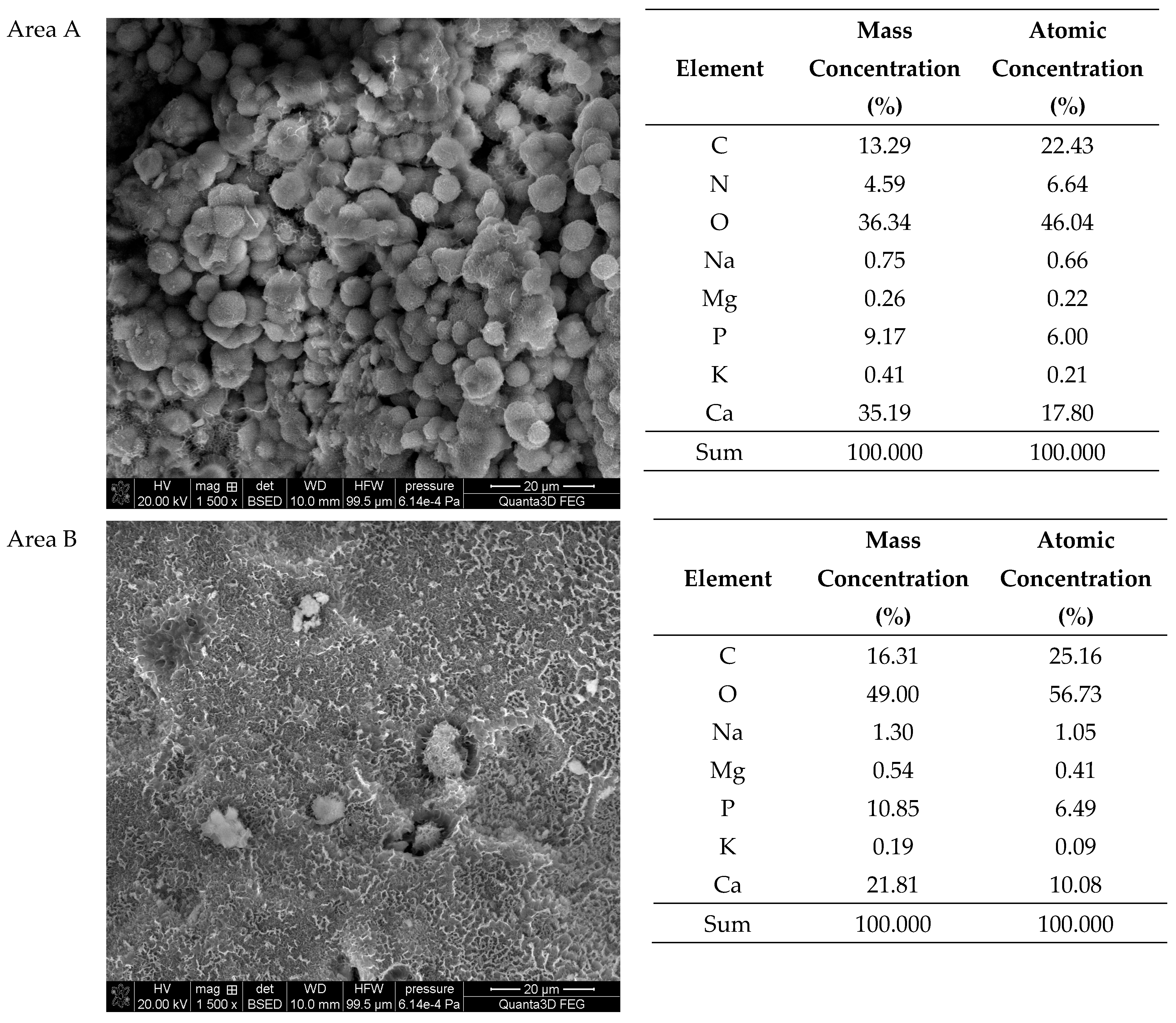 Molecules 28 06089 g009a Molecules 28 06089 g009a