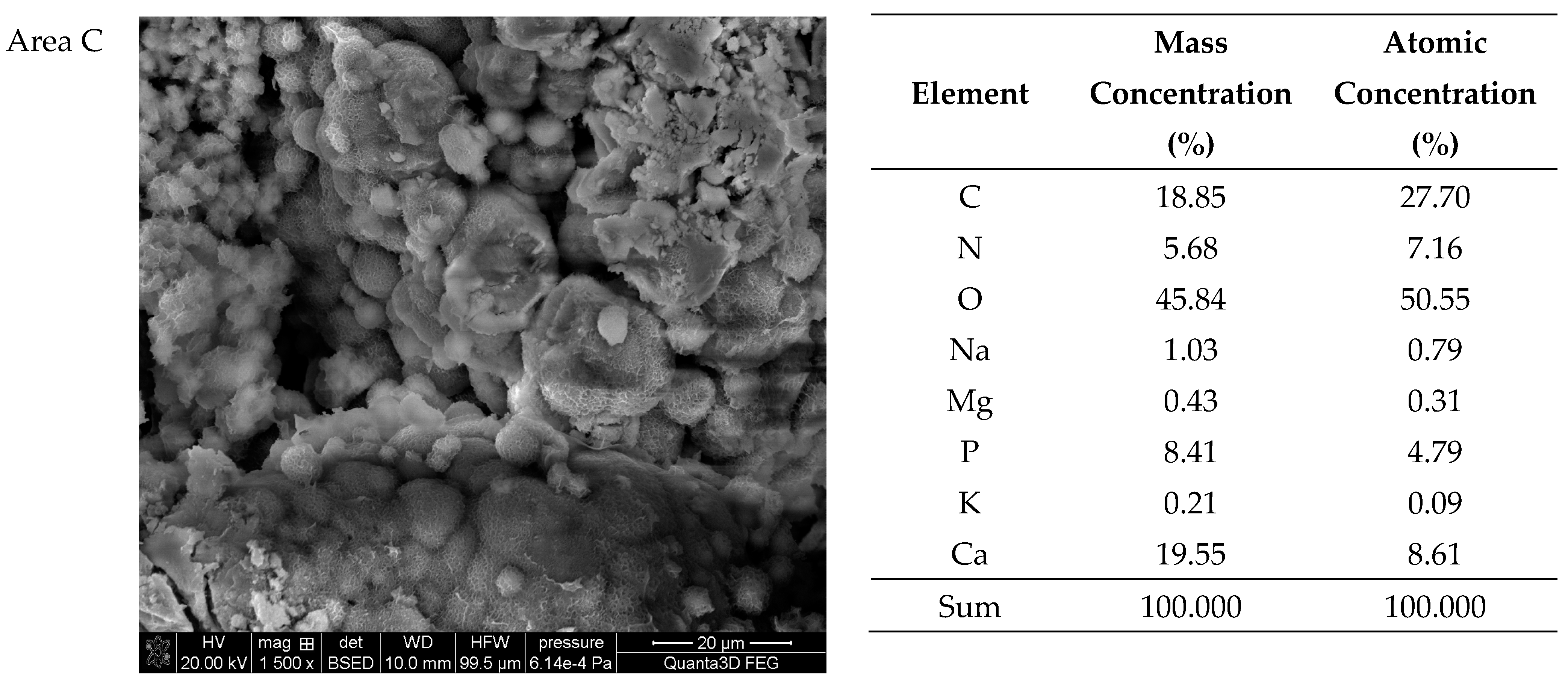 Molecules 28 06089 g009b Molecules 28 06089 g009b
