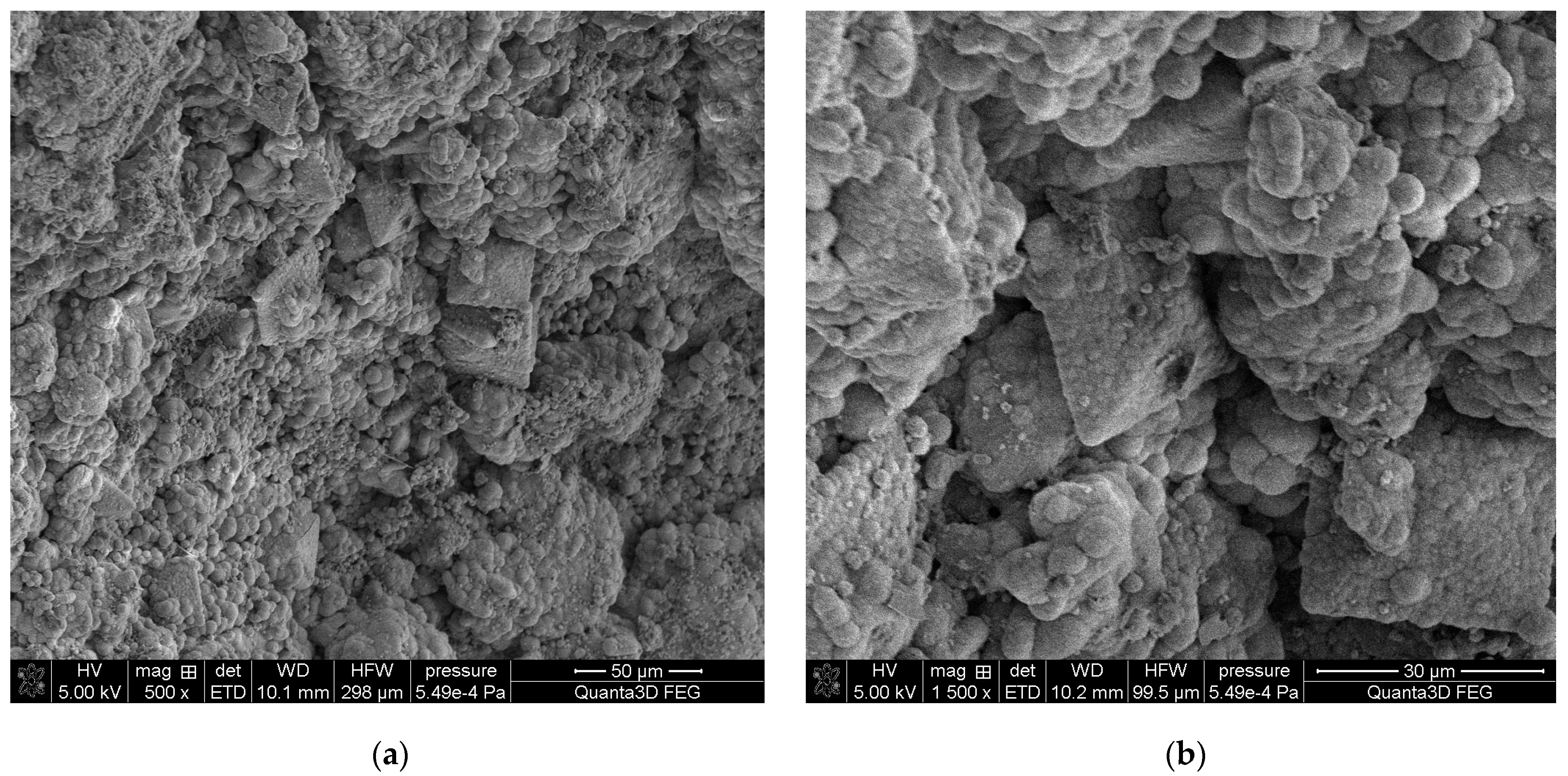 Molecules 28 06089 g010 Molecules 28 06089 g010