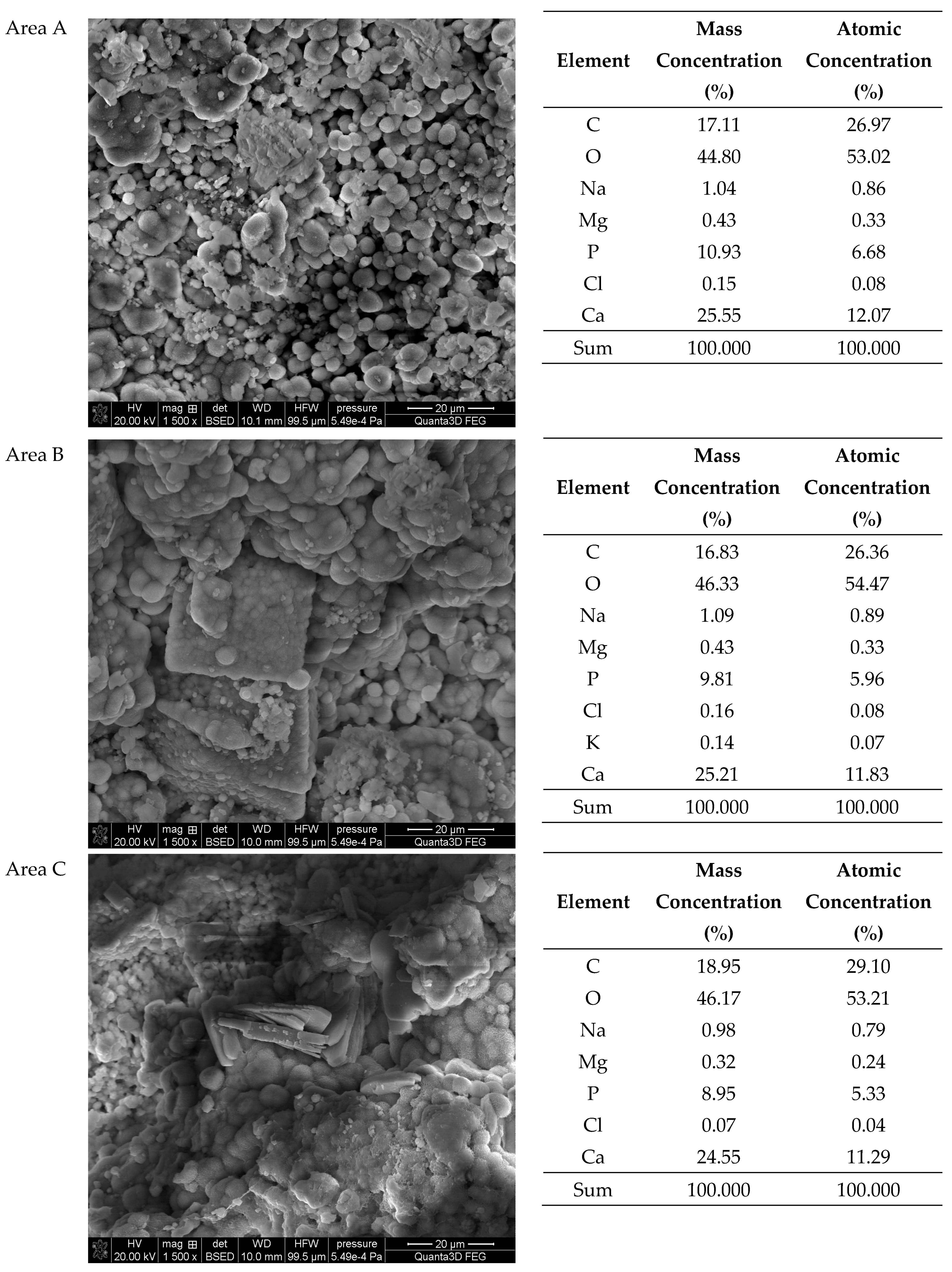 Molecules 28 06089 g011 Molecules 28 06089 g011