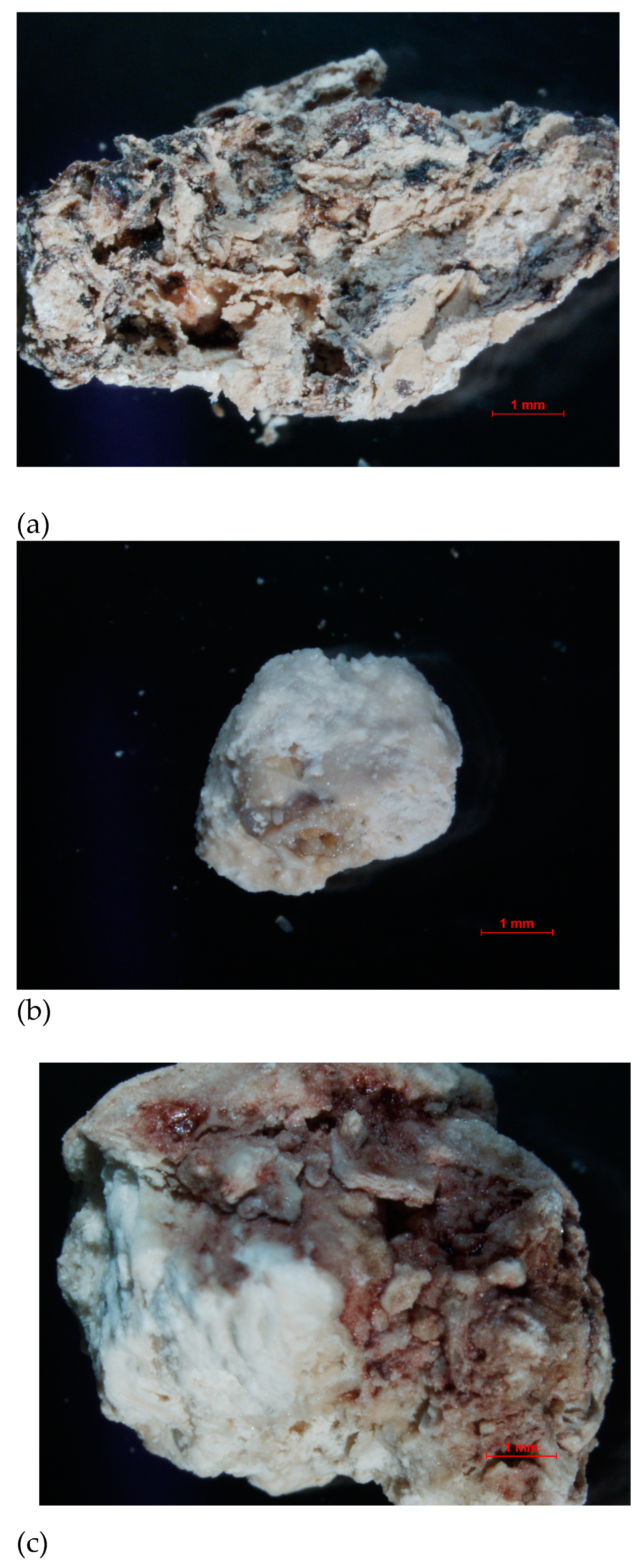 Molecules 28 06089 g019 Molecules 28 06089 g019