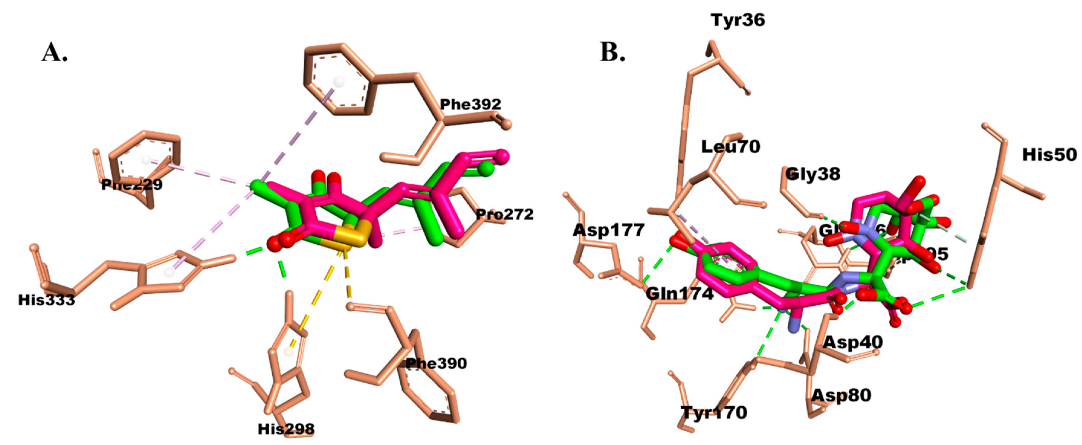 Molecules 28 06096 g002