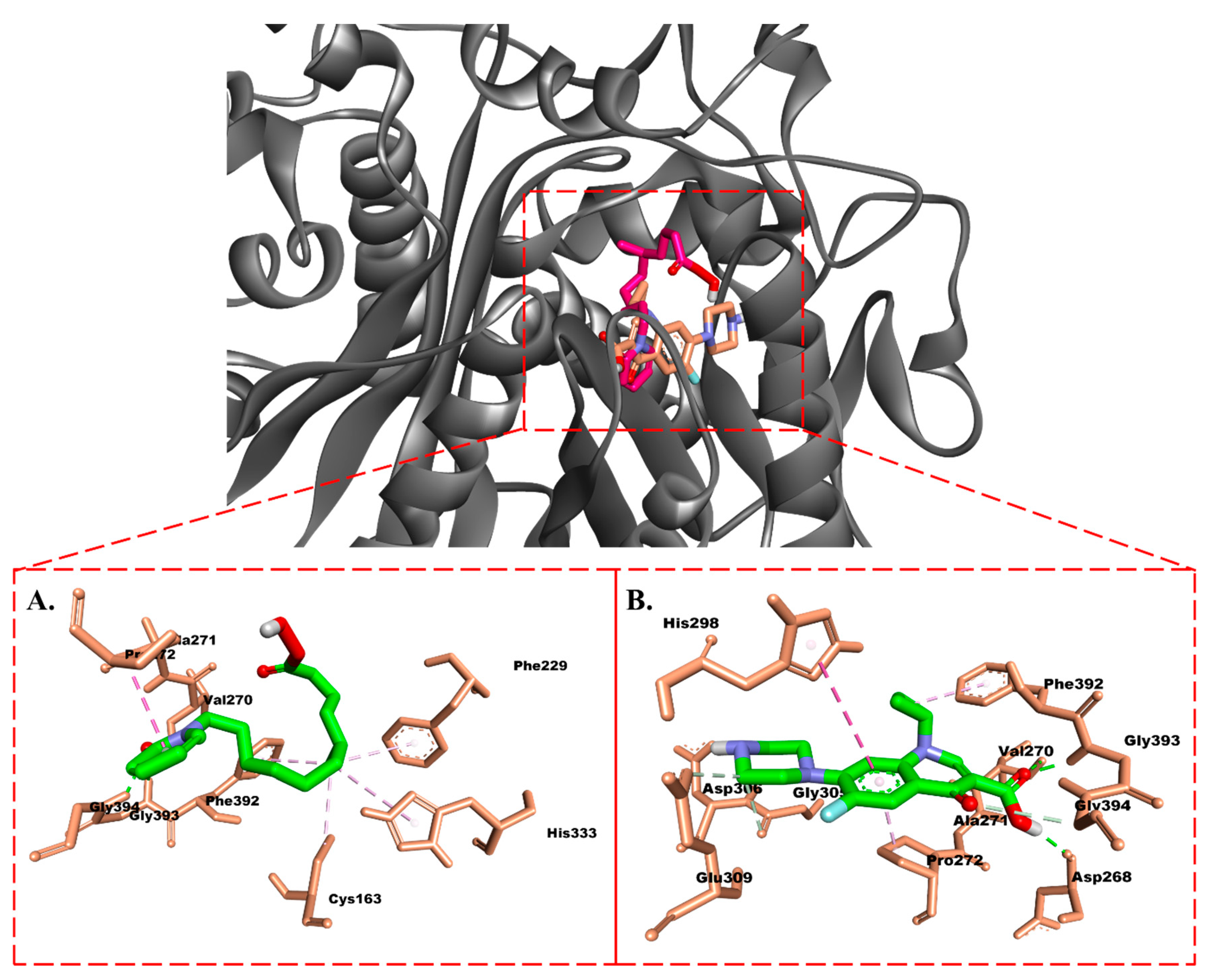 Molecules 28 06096 g003
