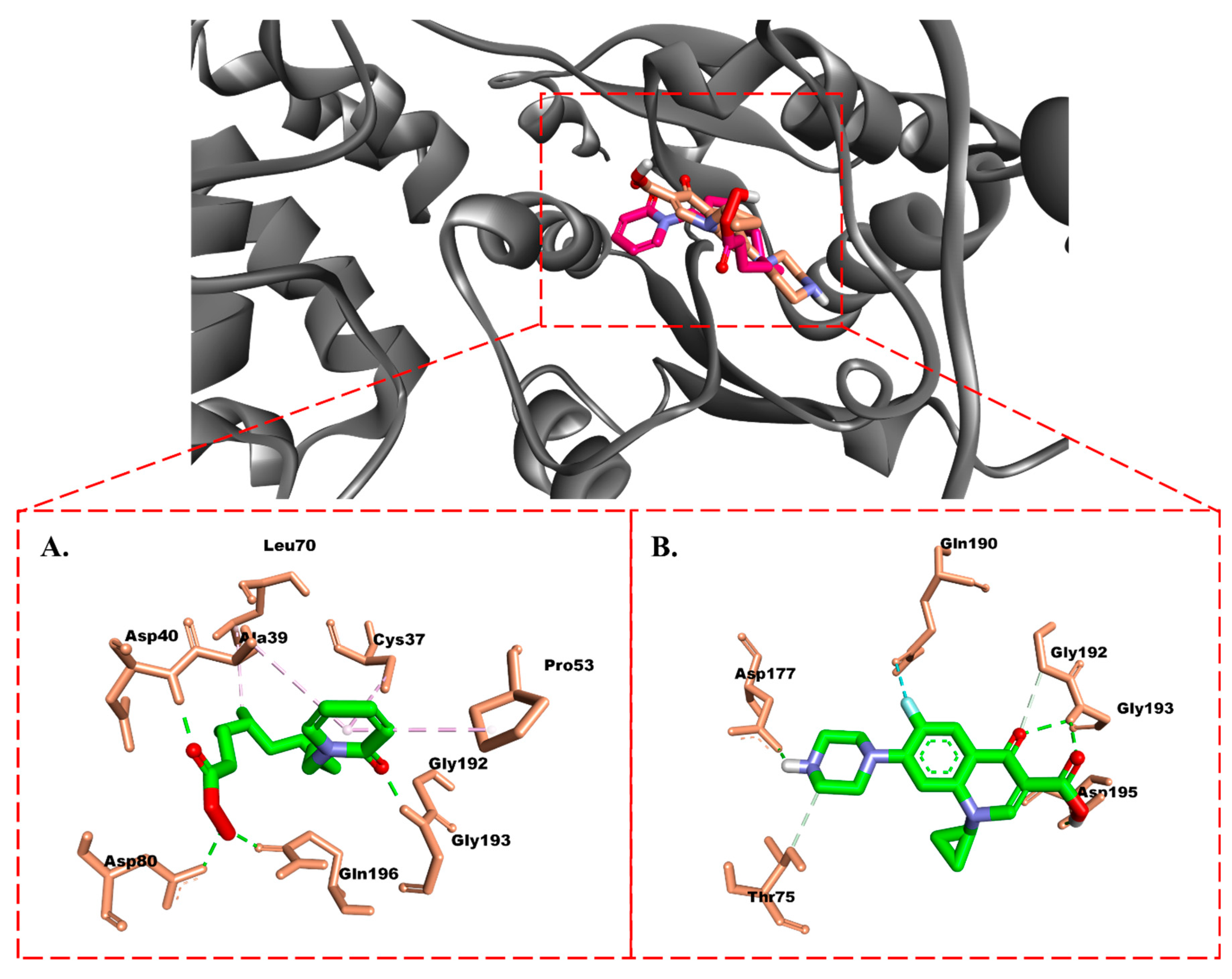 Molecules 28 06096 g004