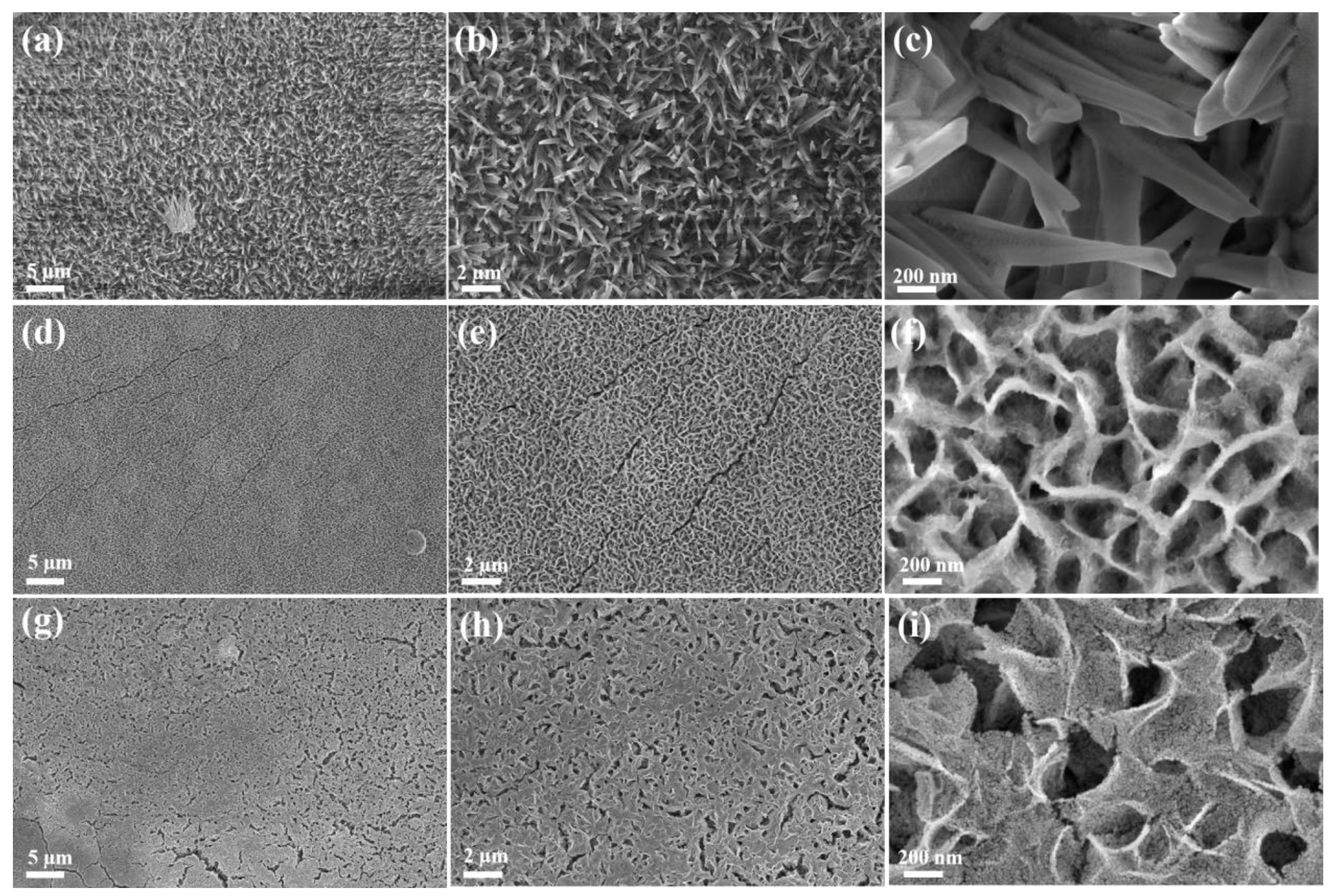 Molecules 28 06101 g002