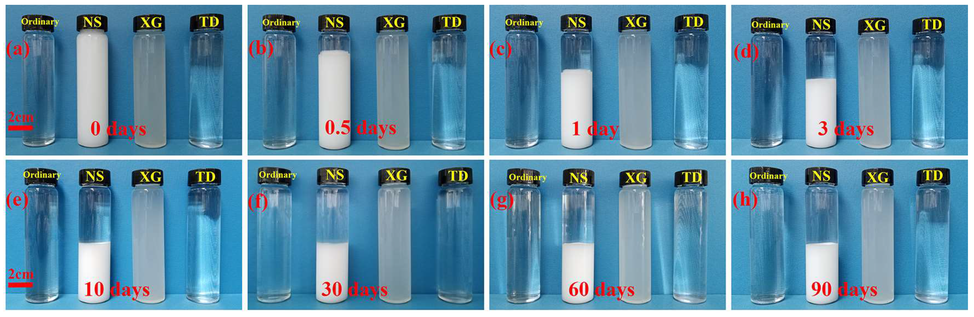 Molecules 28 06107 g009