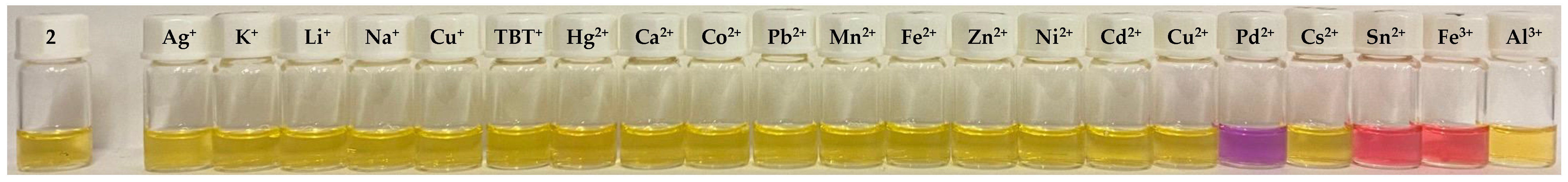 Molecules 28 06111 g001