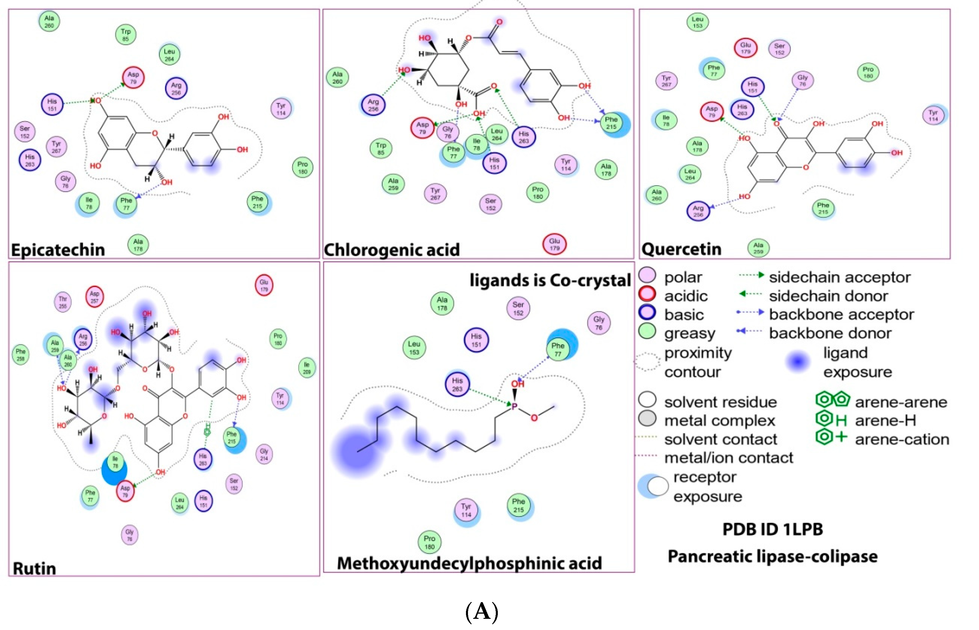 Molecules 28 06112 g001b