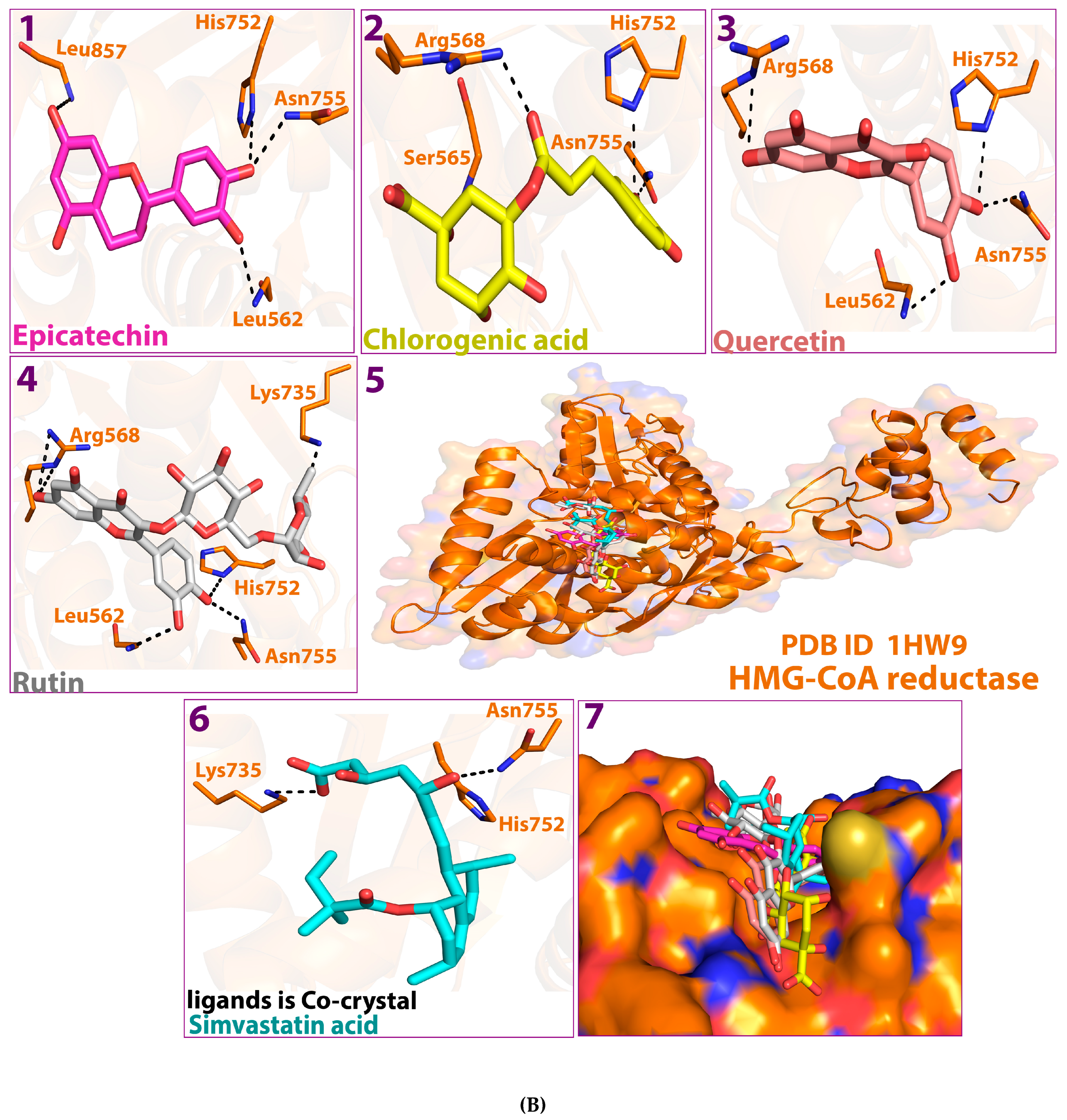 Molecules 28 06112 g001c