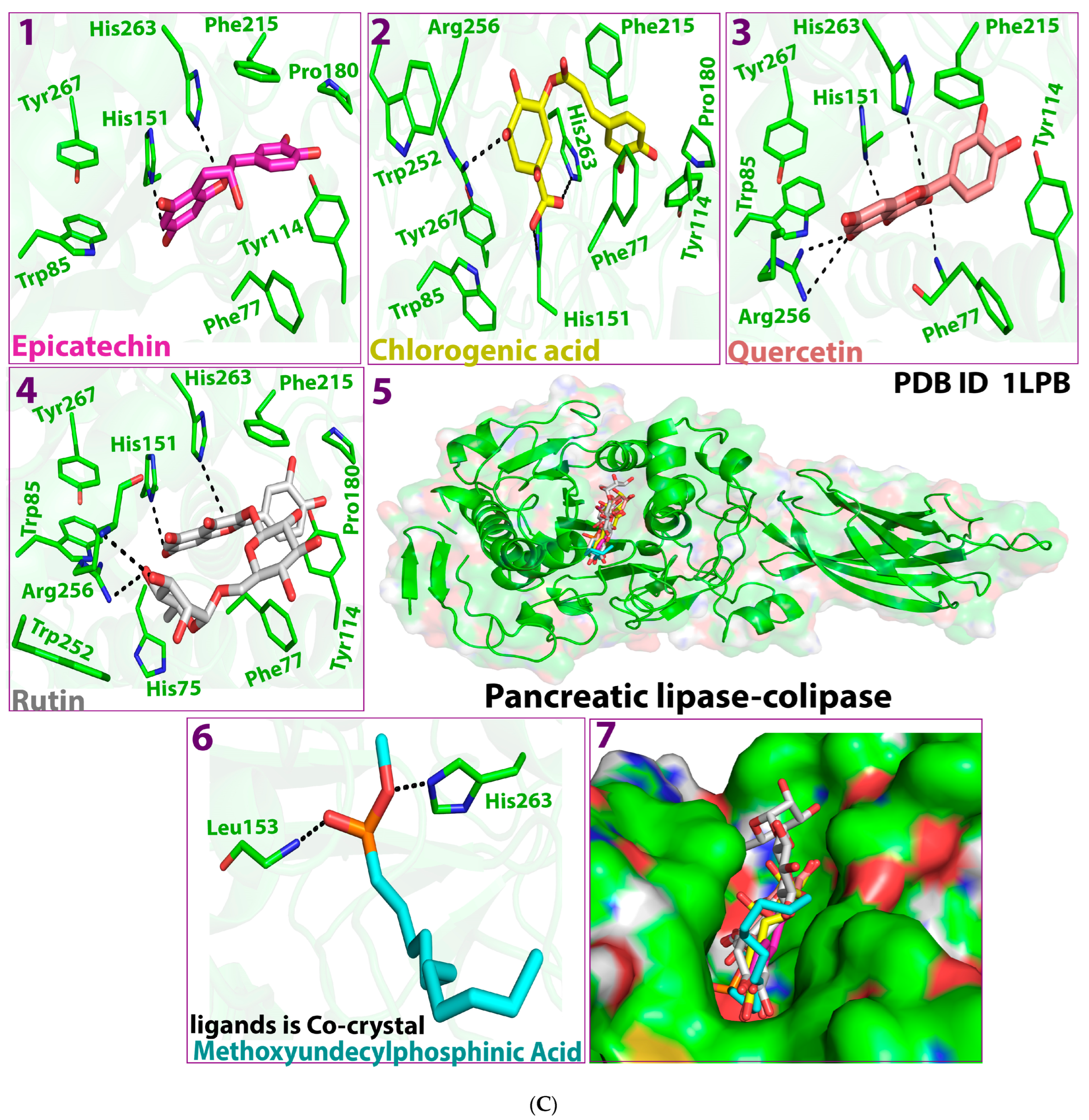 Molecules 28 06112 g001d