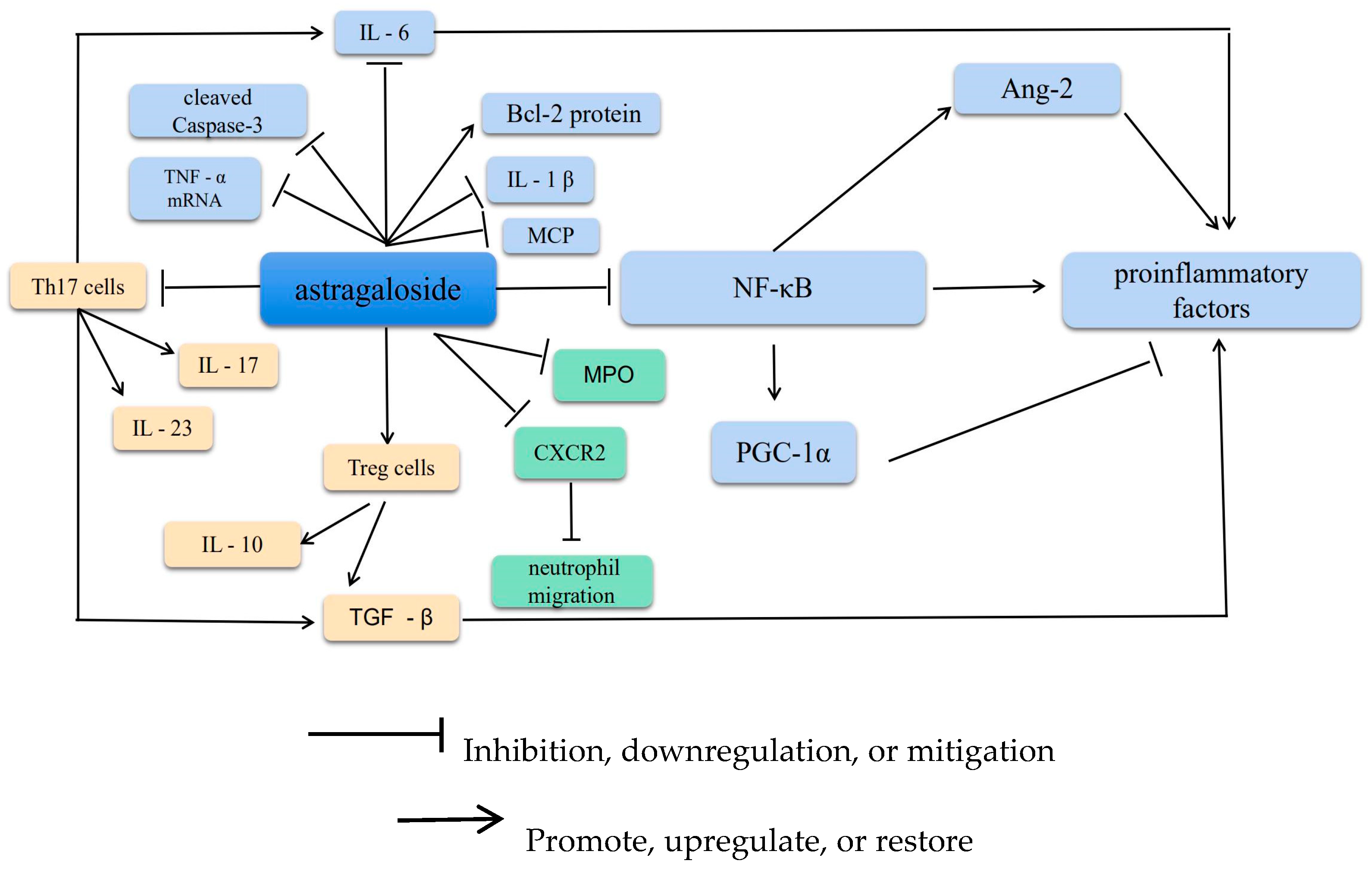 Molecules 28 06118 g002