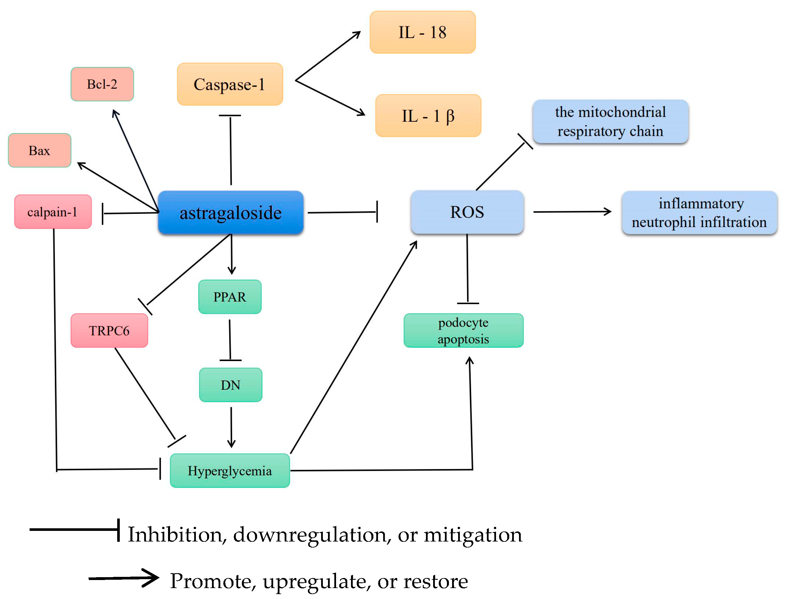 Molecules 28 06118 g003