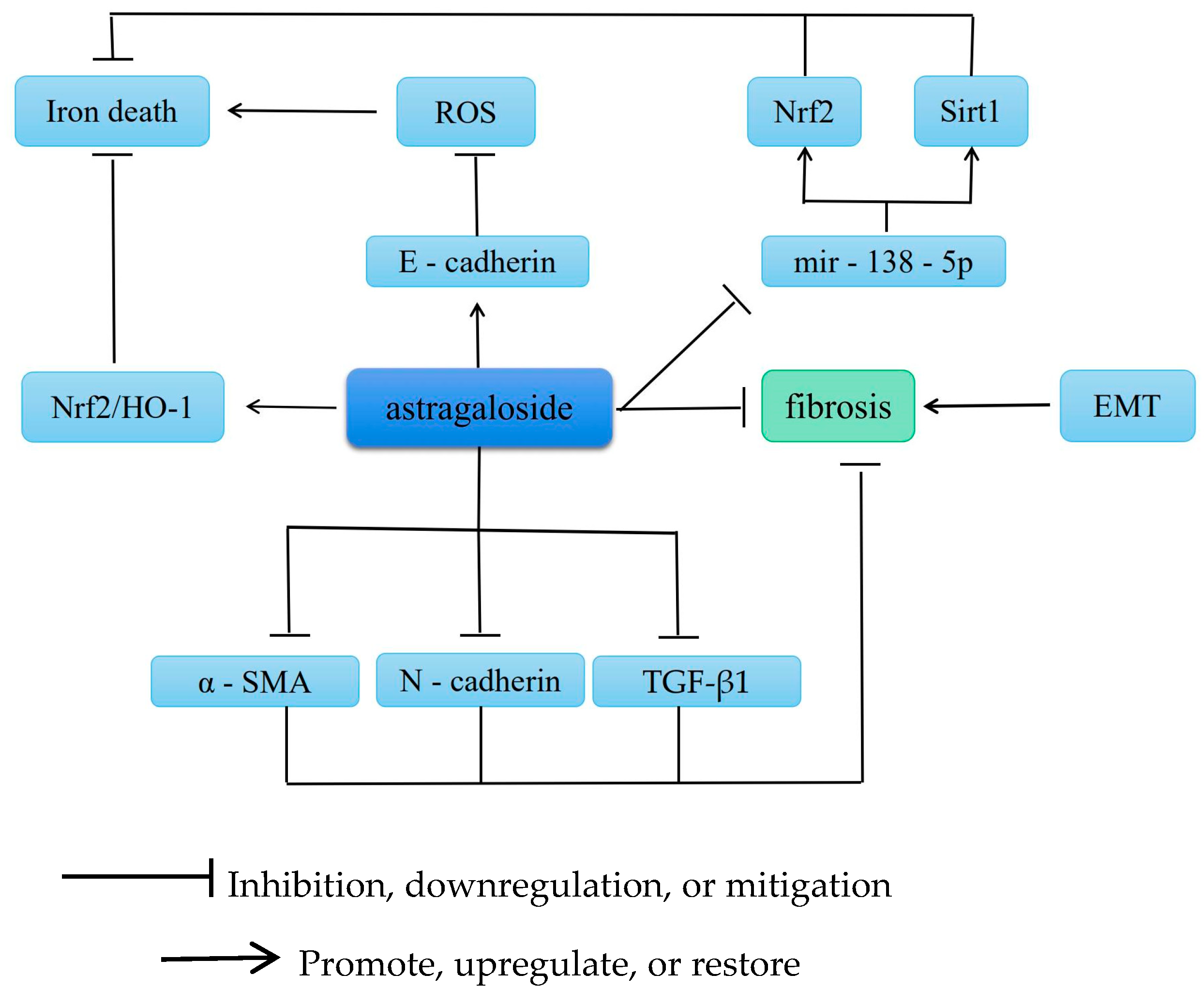 Molecules 28 06118 g004