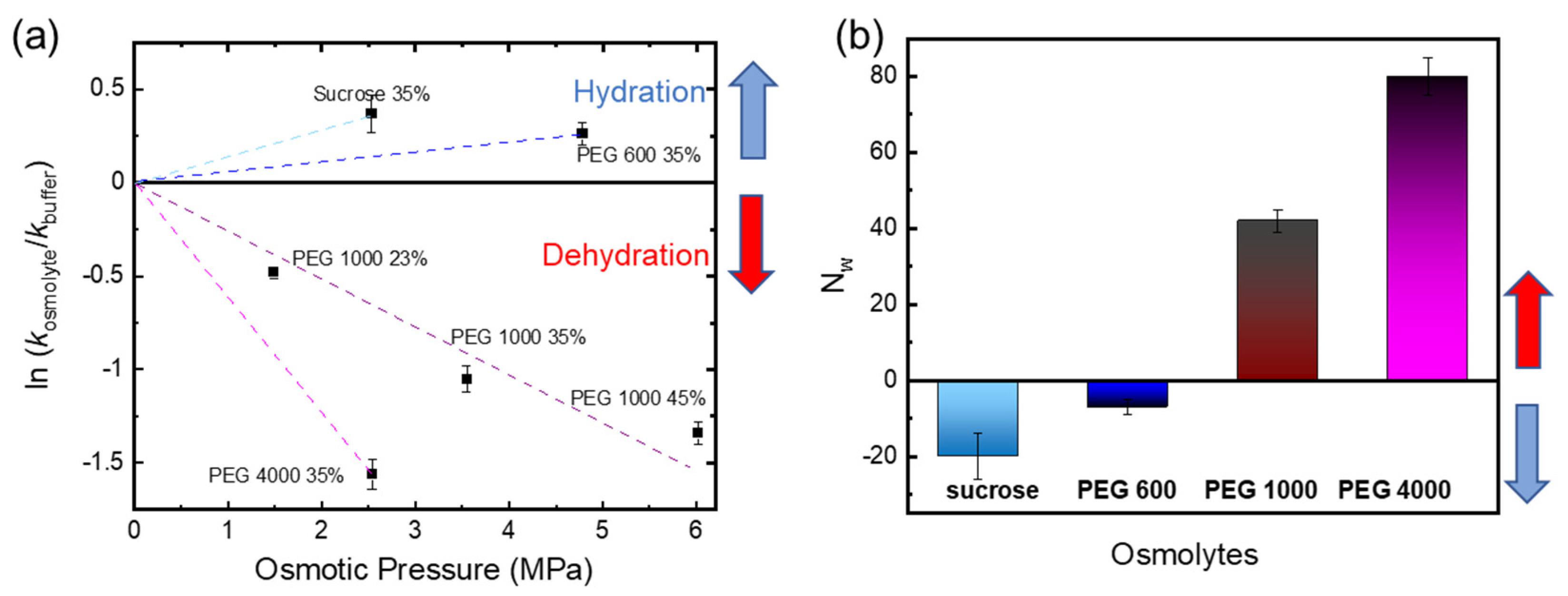 Molecules 28 06121 g004 Molecules 28 06121 g004