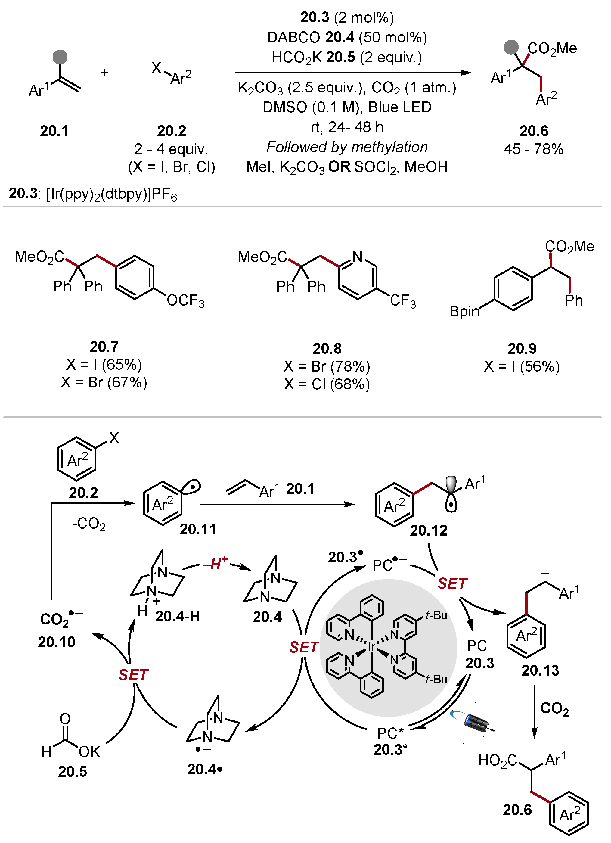 Molecules 28 06127 sch020