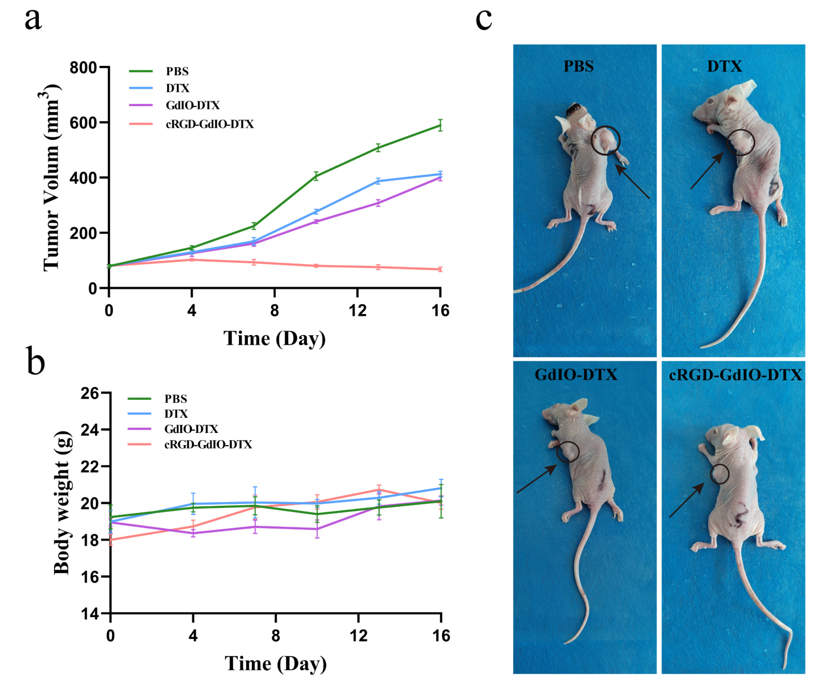 Molecules 28 06134 g008 Molecules 28 06134 g008