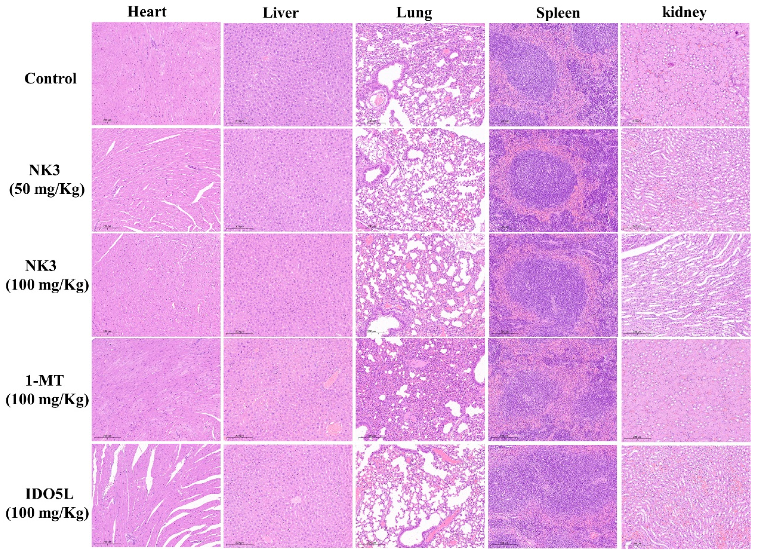 Molecules 28 06135 g006