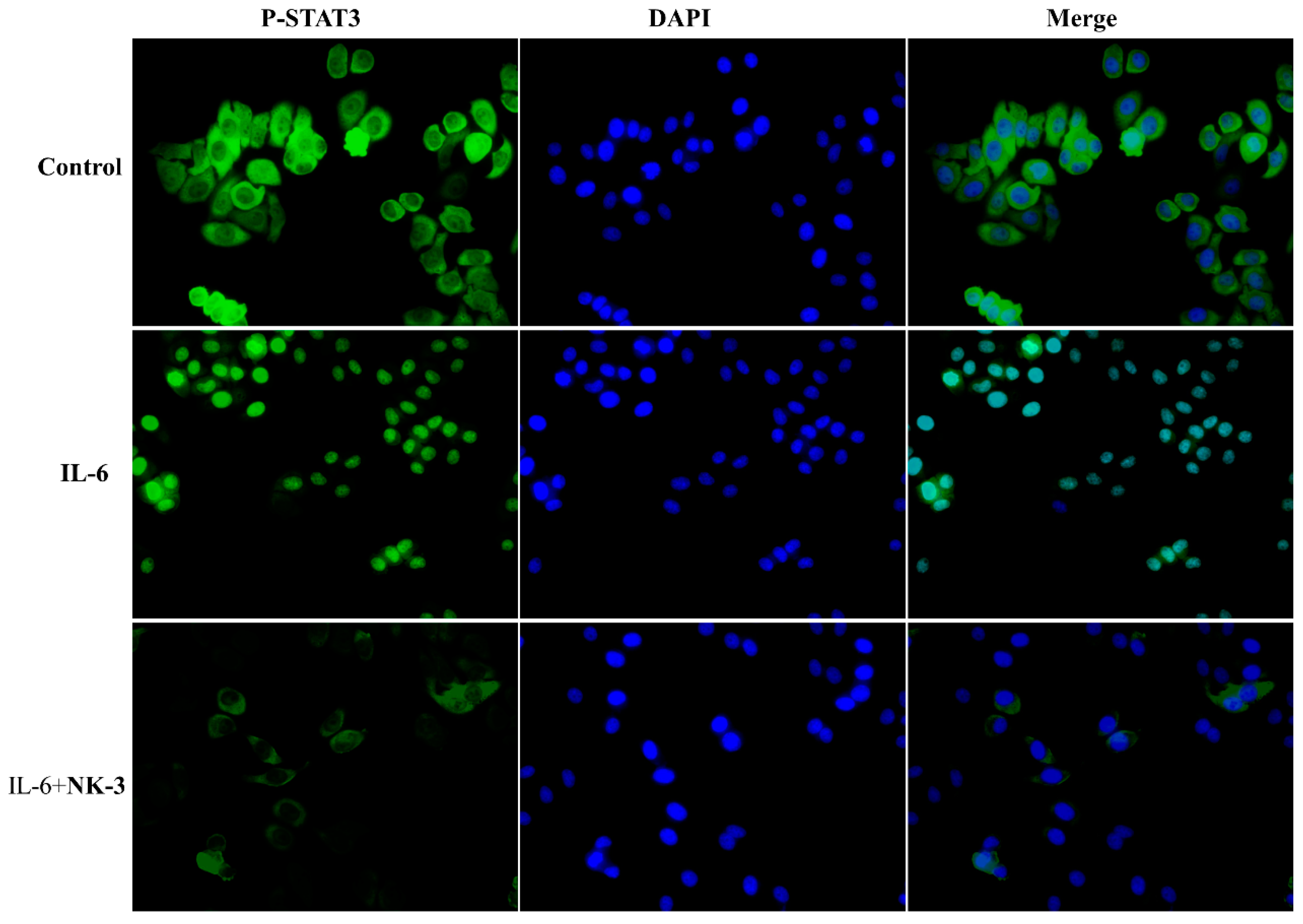 Molecules 28 06135 g009