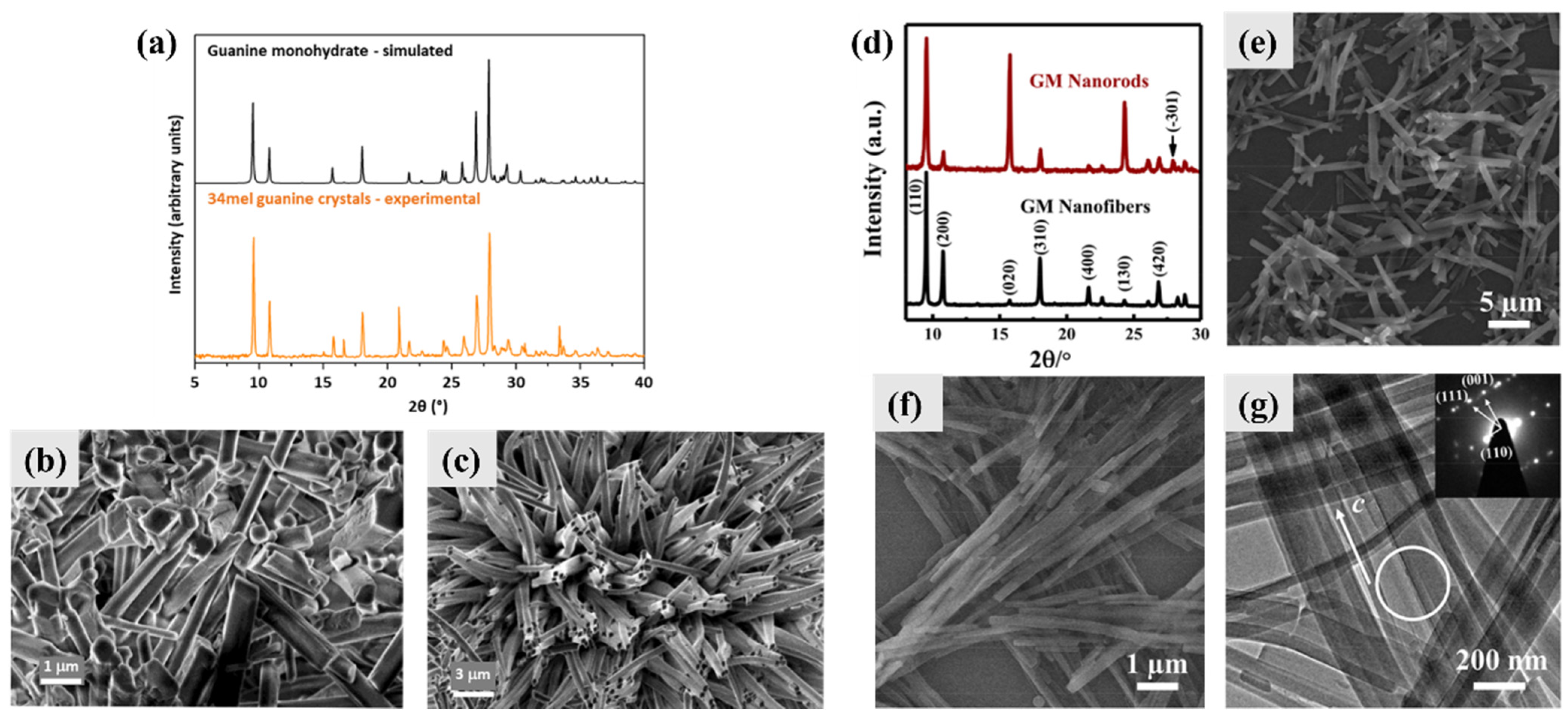 Molecules 28 06138 g003