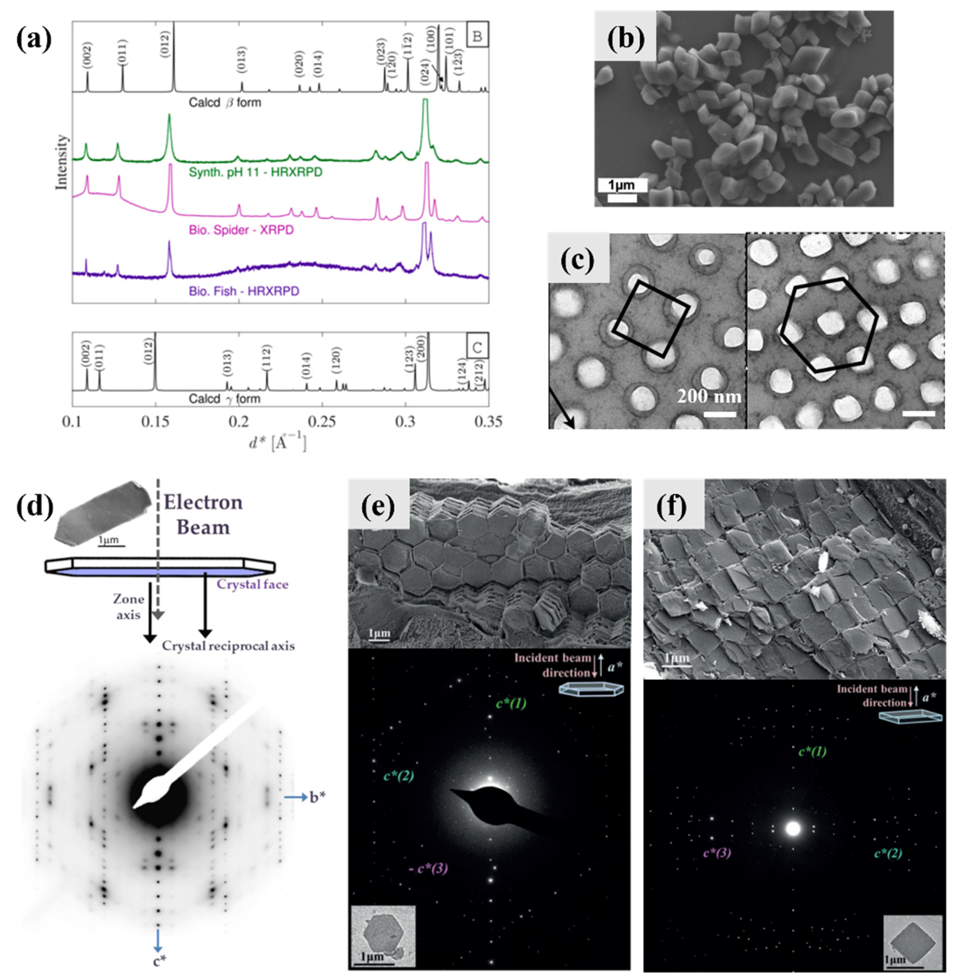 Molecules 28 06138 g004