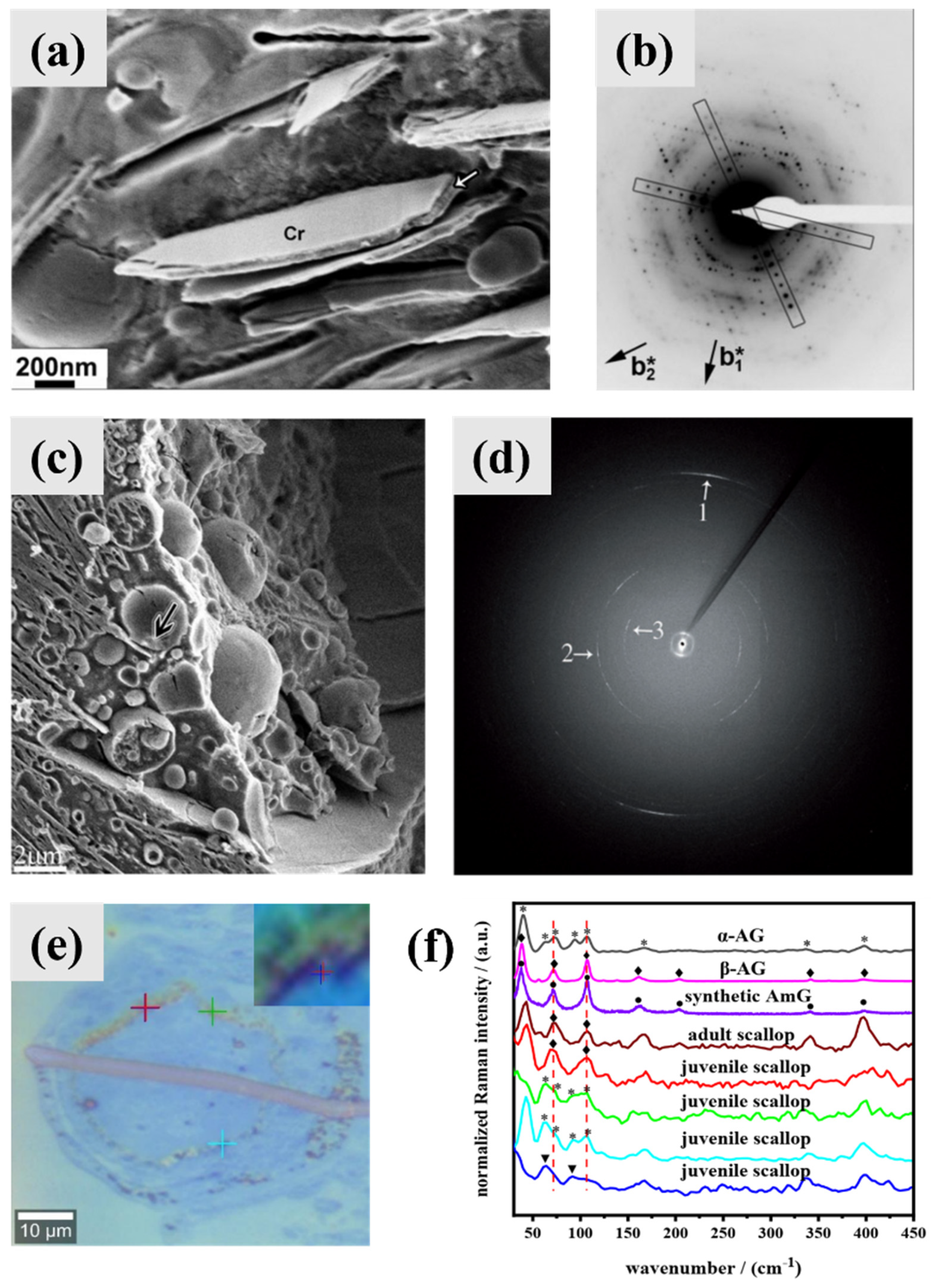 Molecules 28 06138 g006
