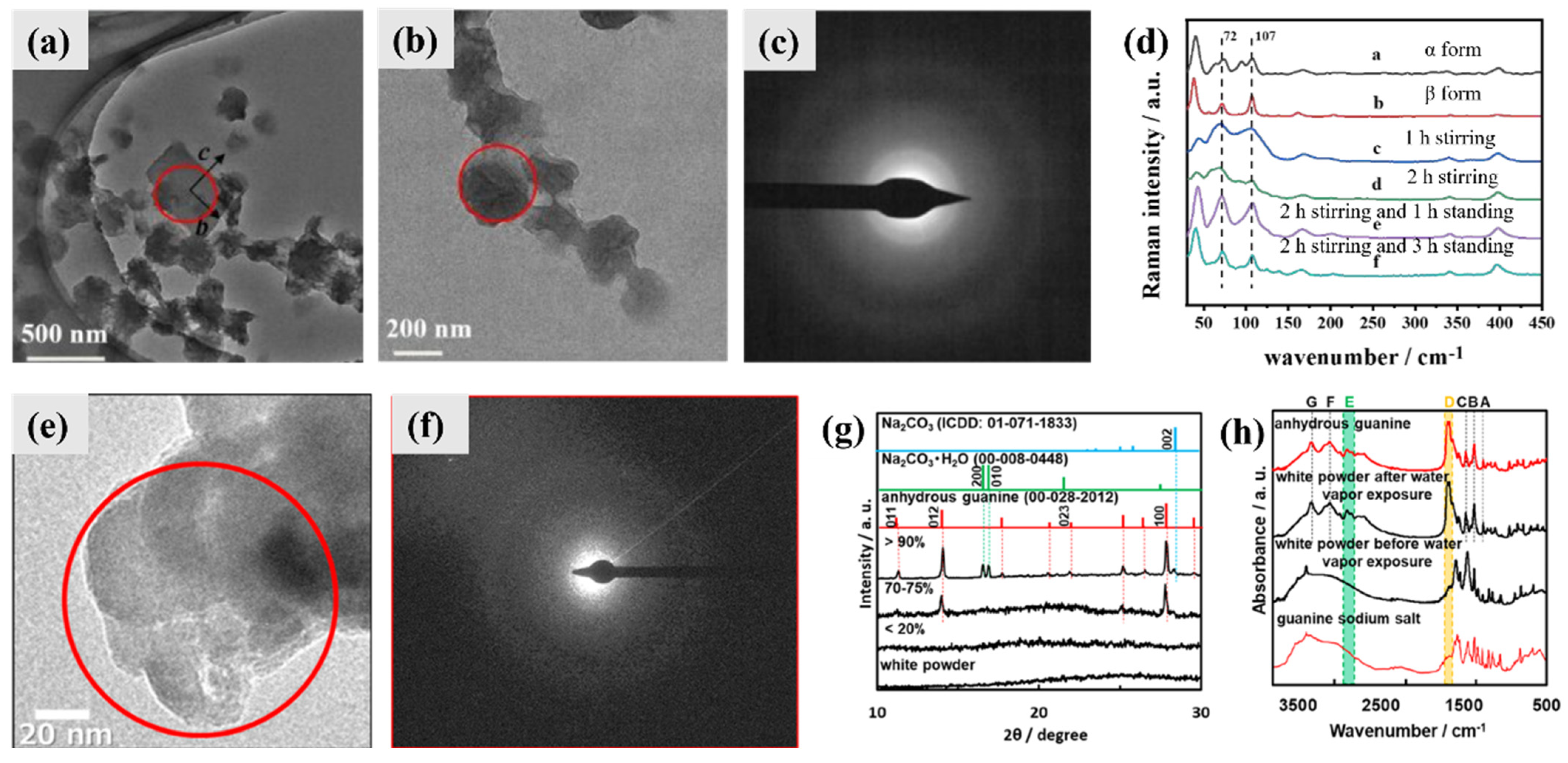 Molecules 28 06138 g008