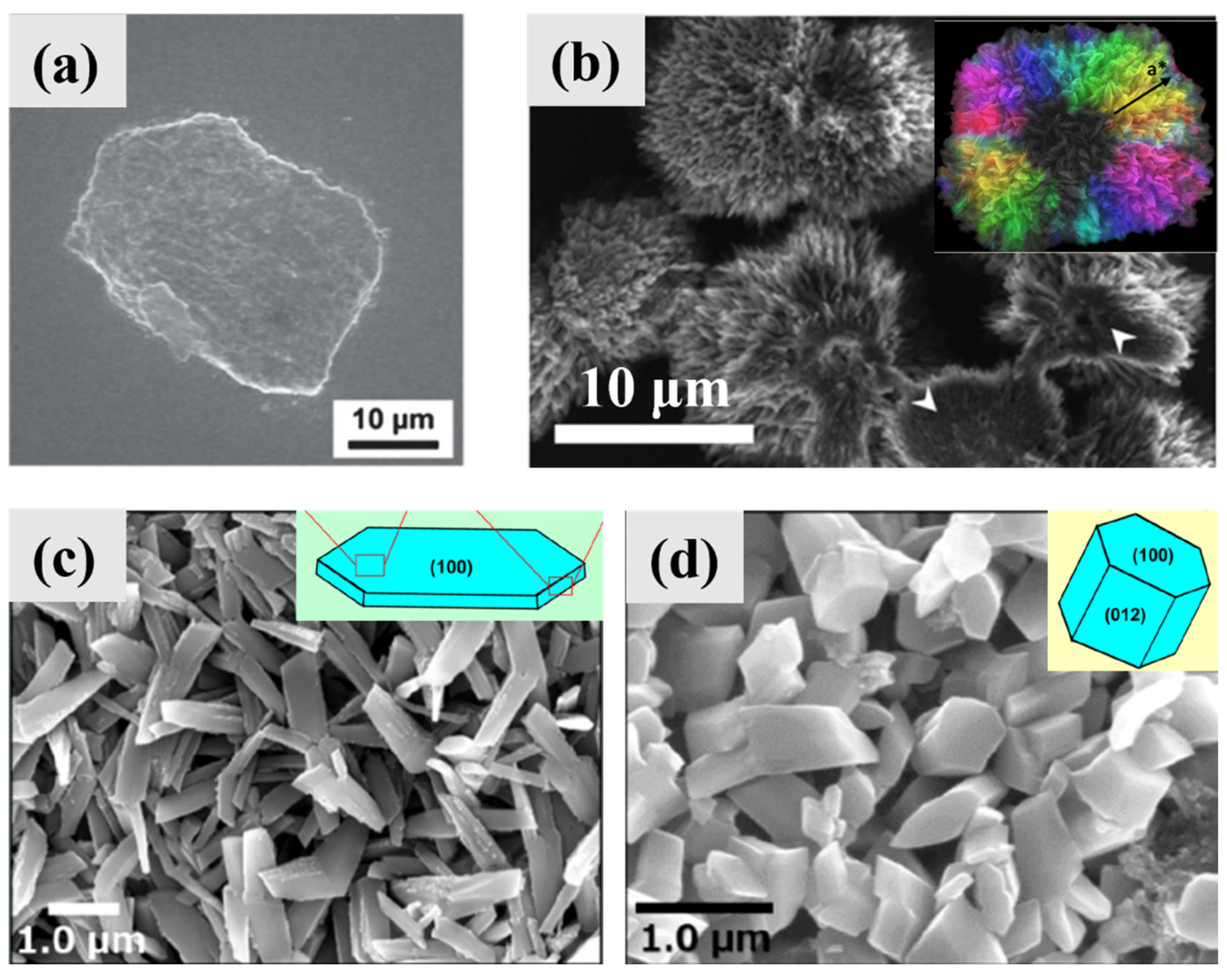 Molecules 28 06138 g010