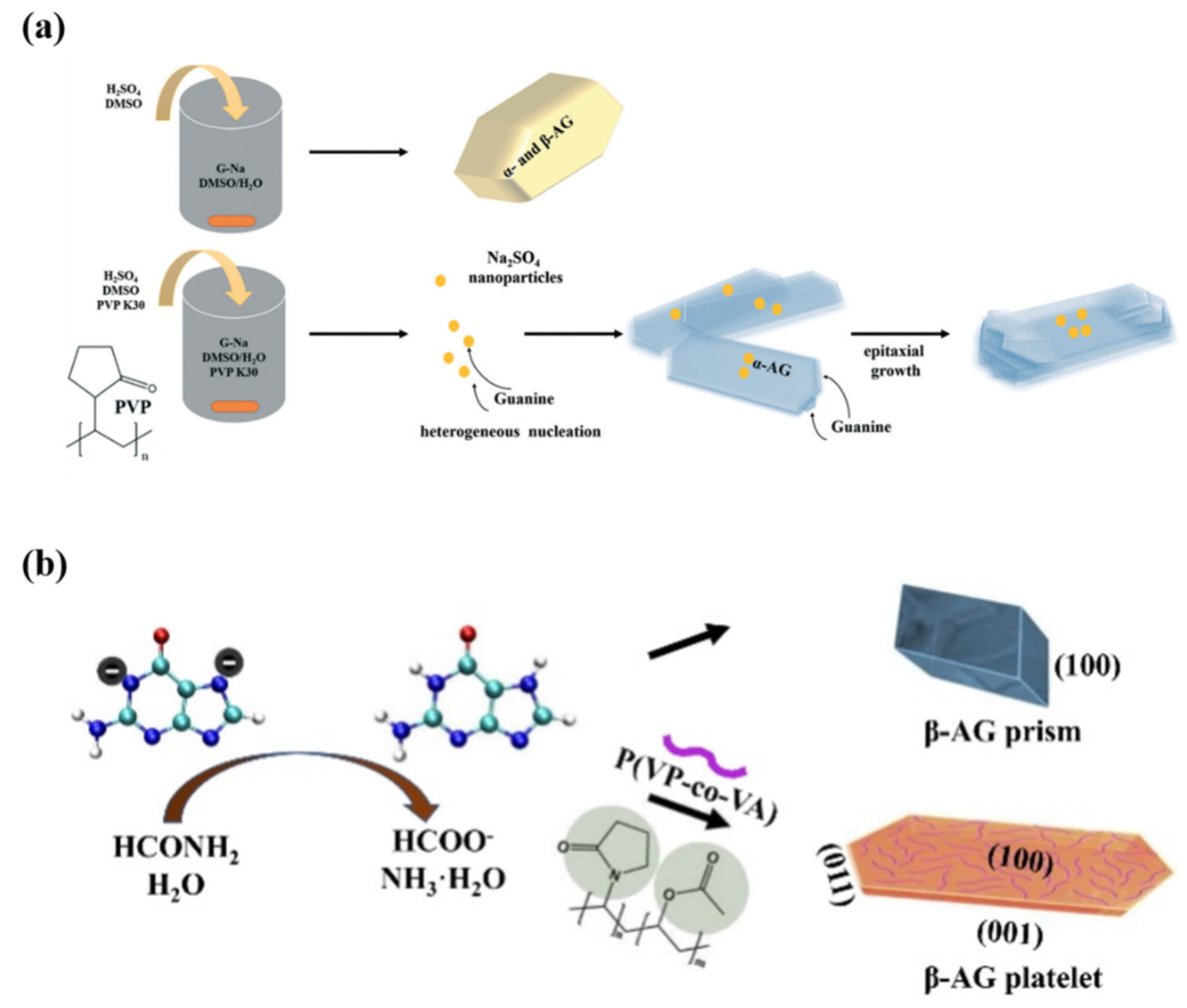 Molecules 28 06138 g012