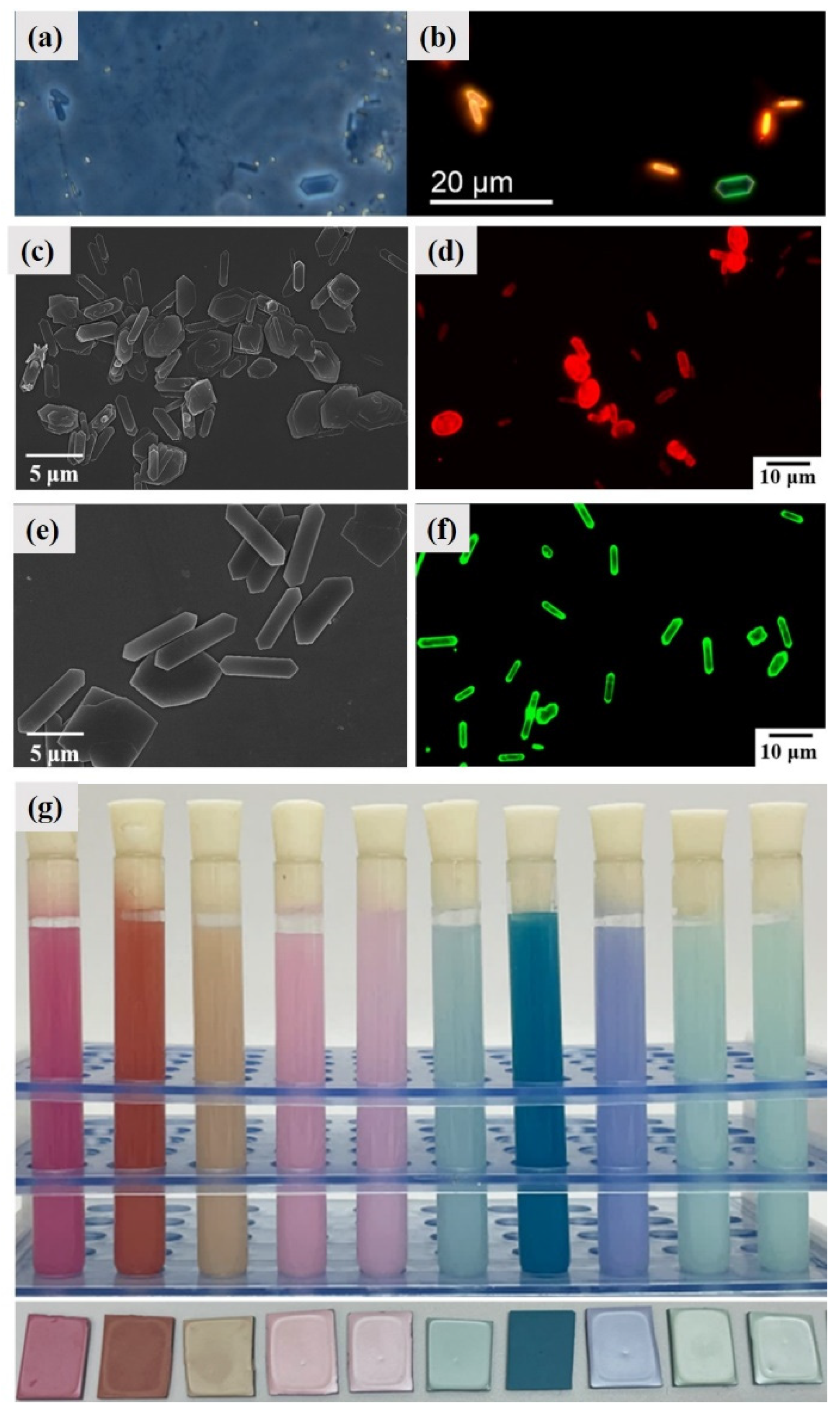 Molecules 28 06138 g015