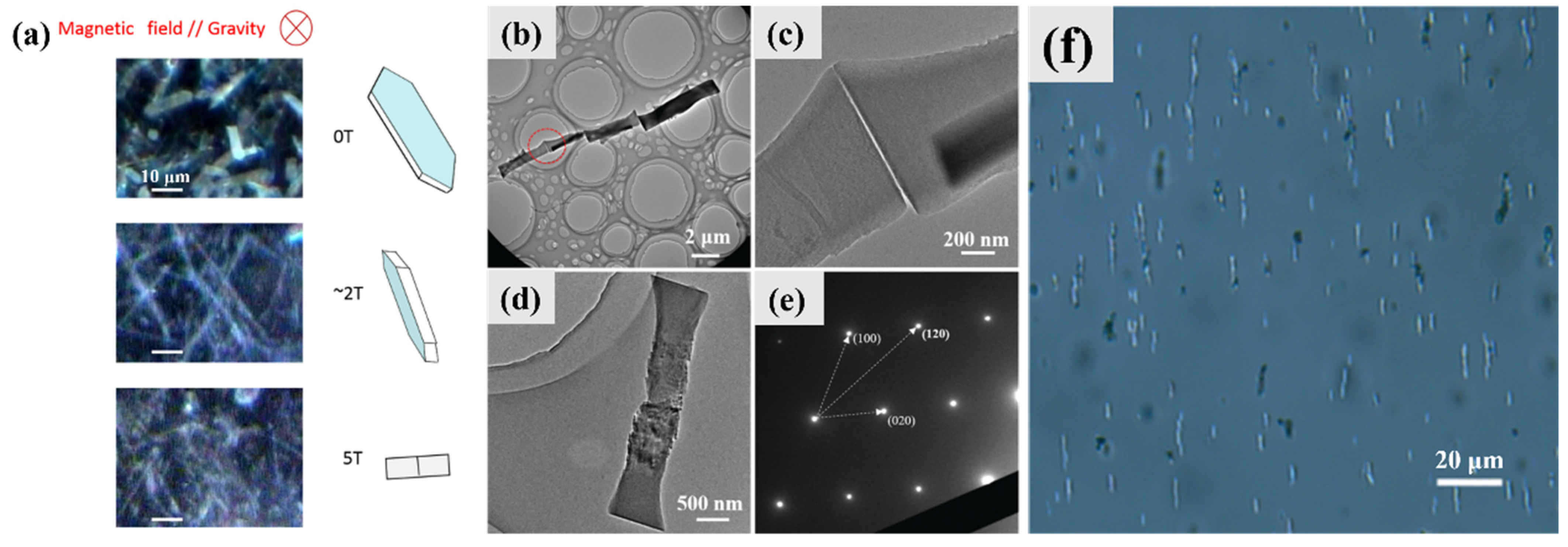 Molecules 28 06138 g016