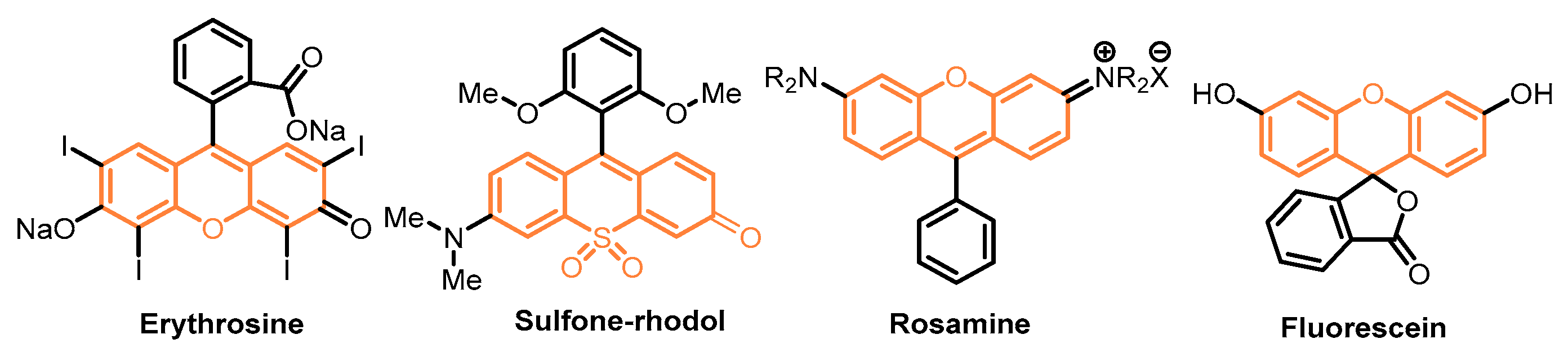 Molecules 28 06139 g001