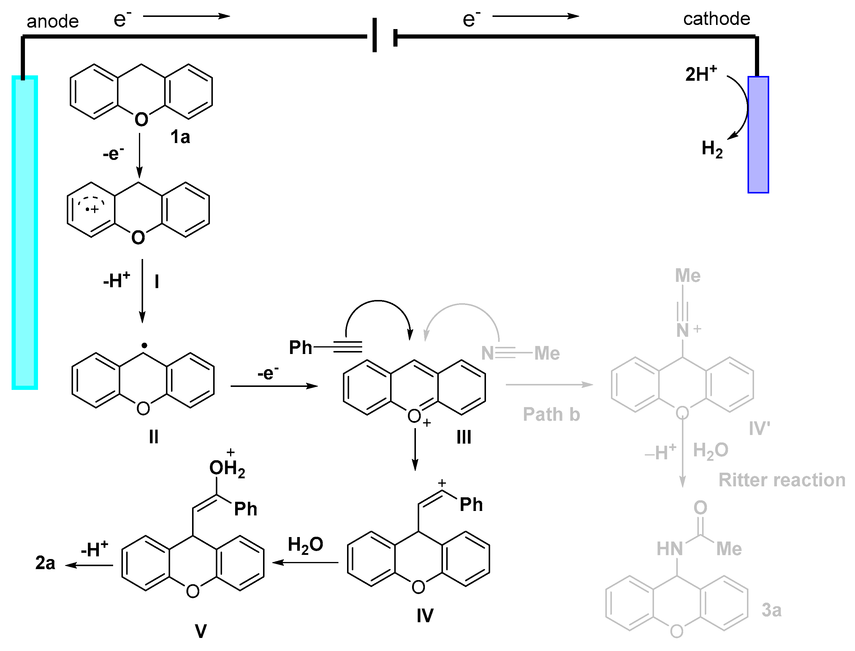 Molecules 28 06139 sch005