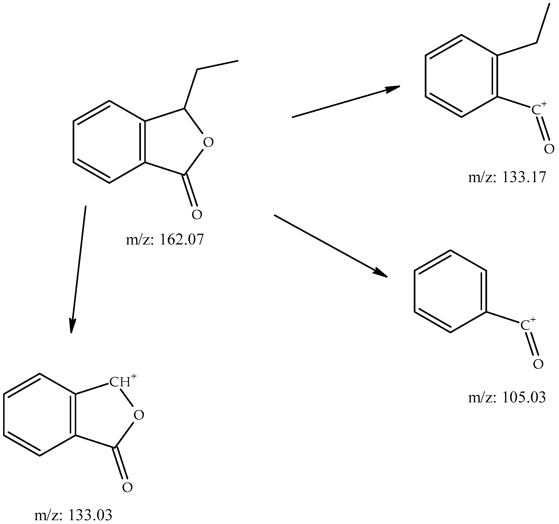 Molecules 28 06140 g001
