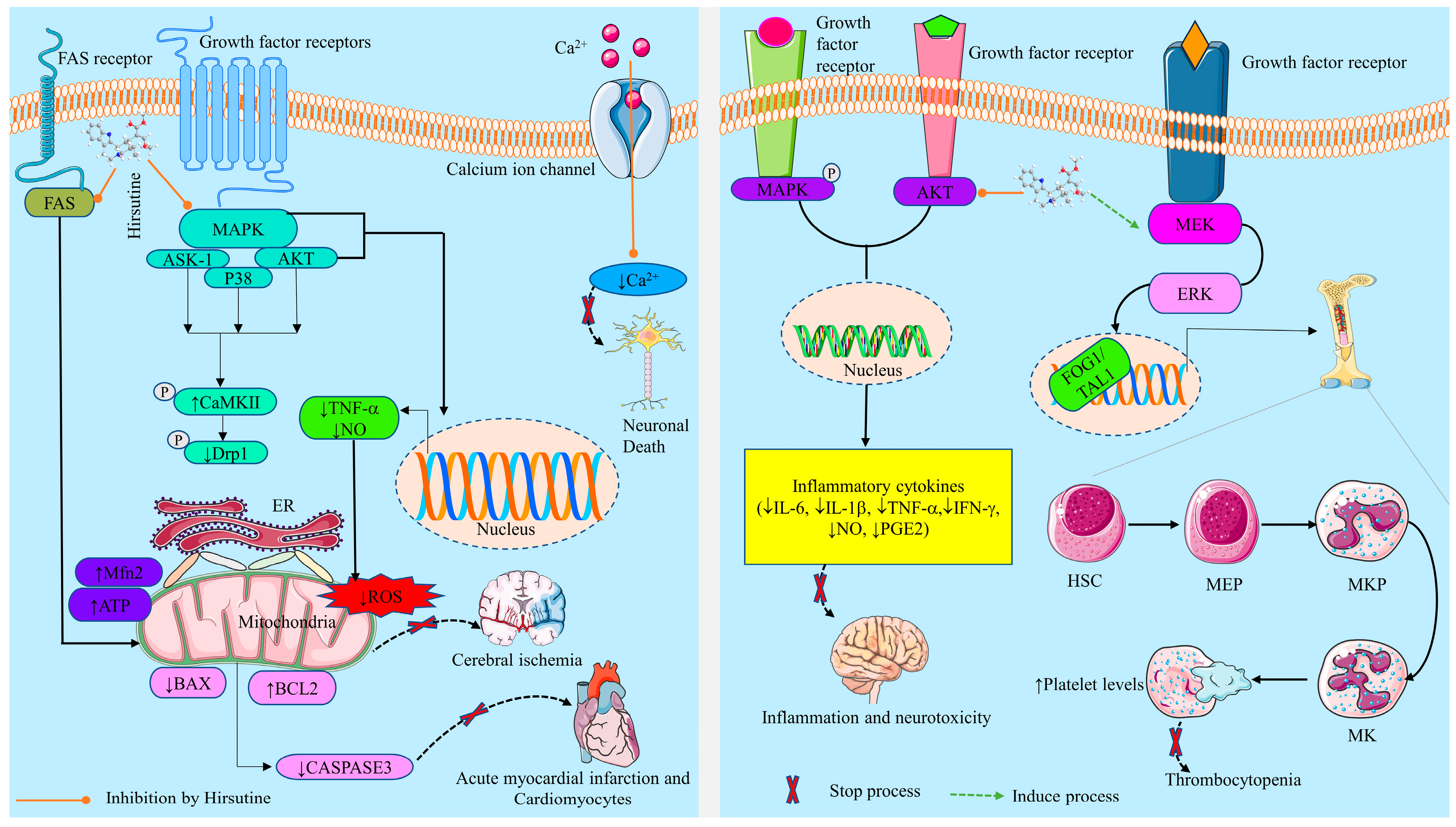 Molecules 28 06141 g002 Molecules 28 06141 g002