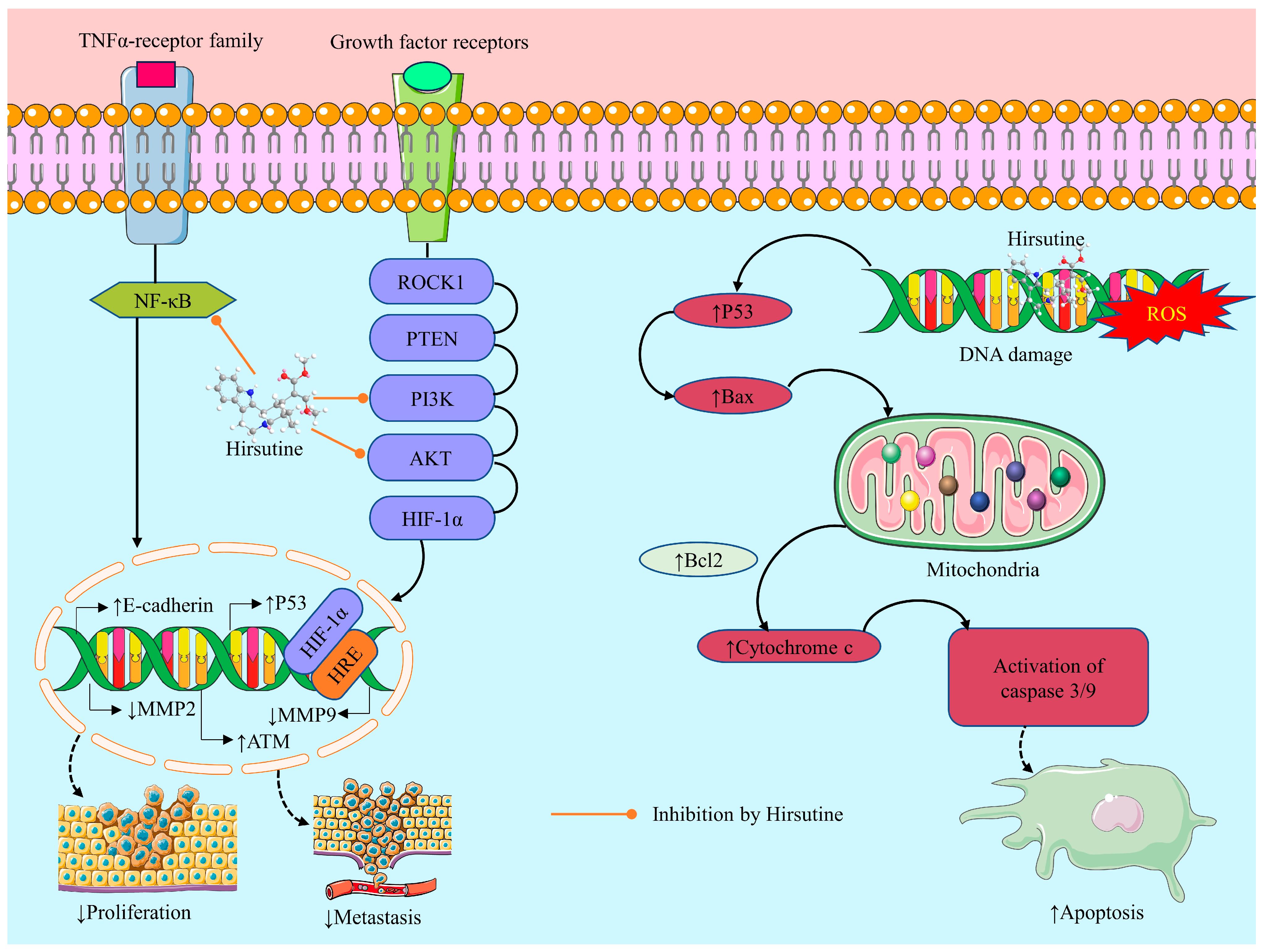 Molecules 28 06141 g003 Molecules 28 06141 g003