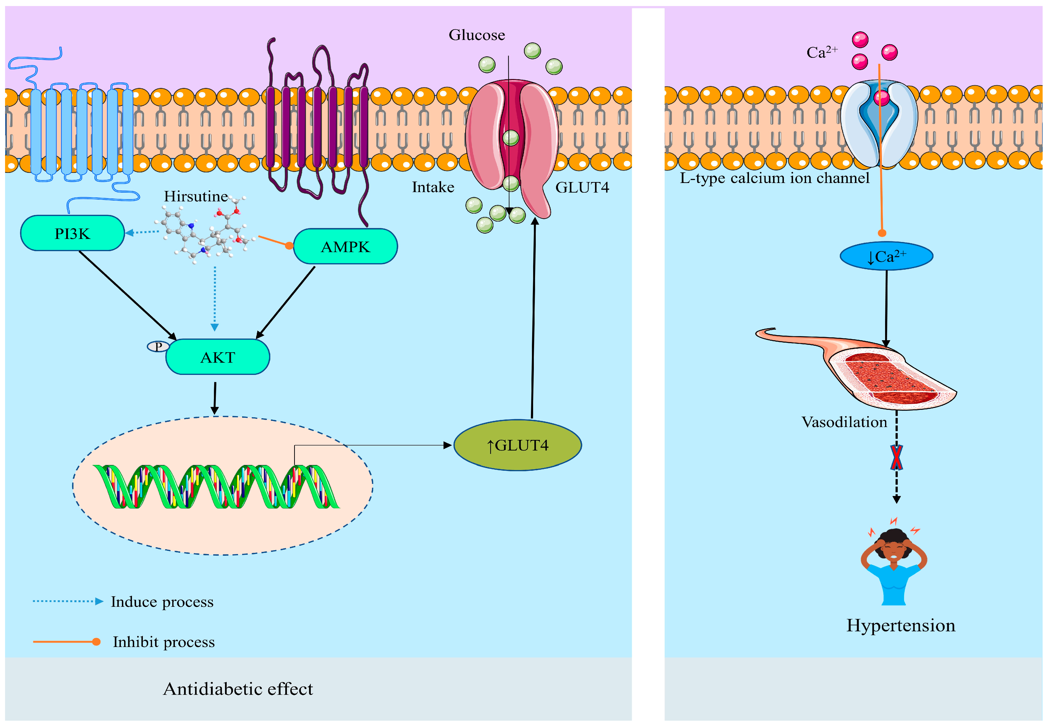Molecules 28 06141 g004 Molecules 28 06141 g004