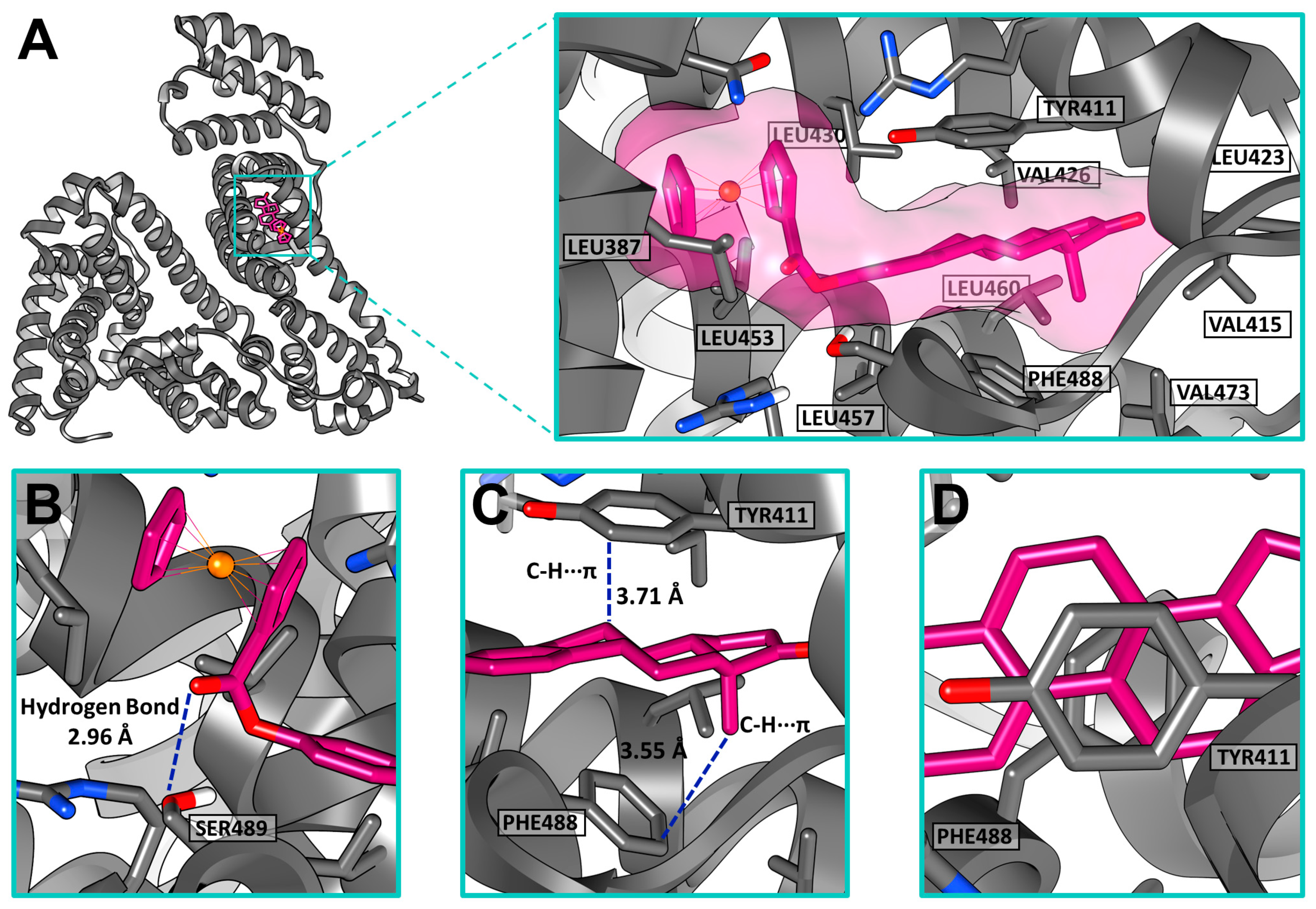 Molecules 28 06147 g010