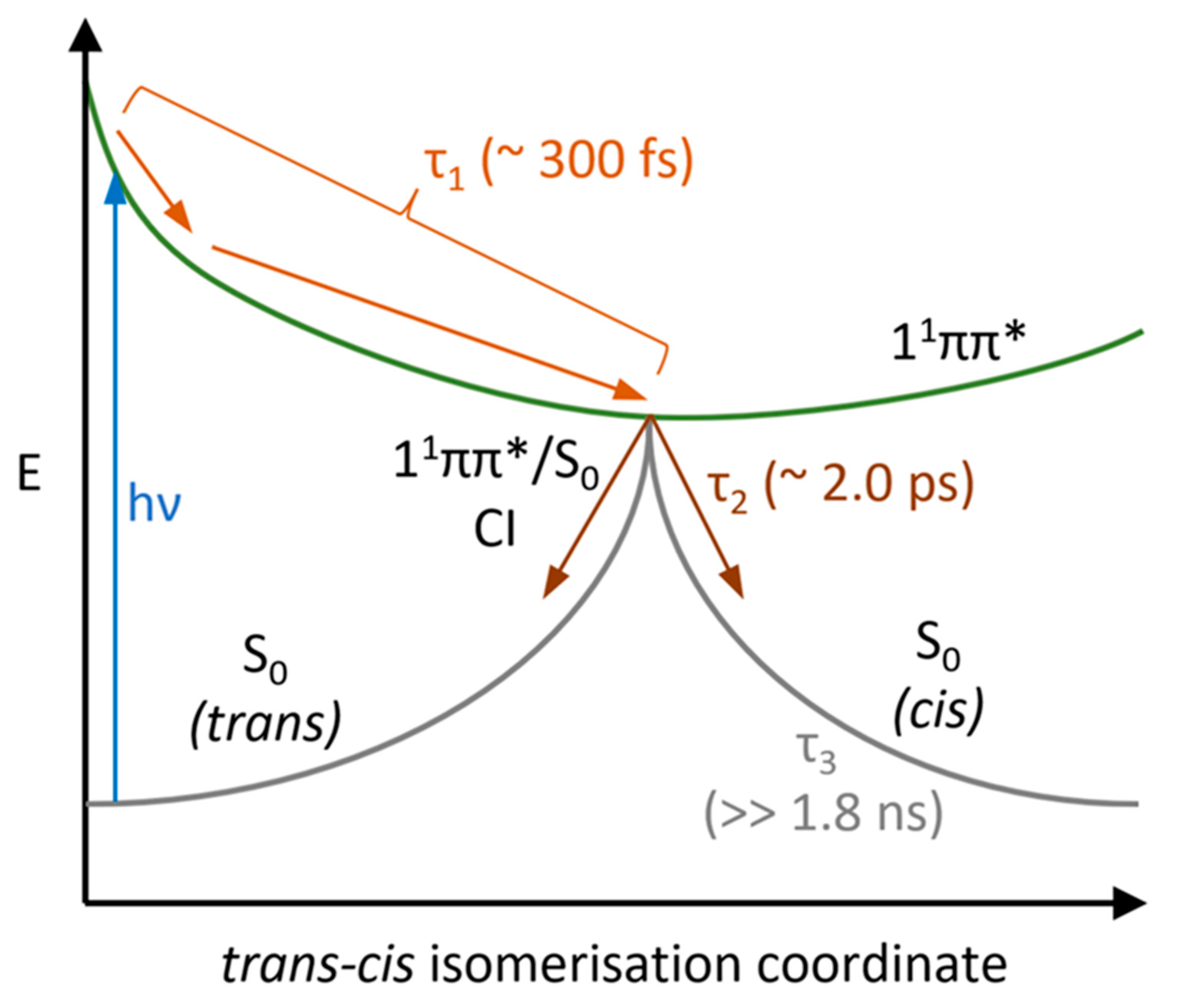 Molecules 28 06153 g005
